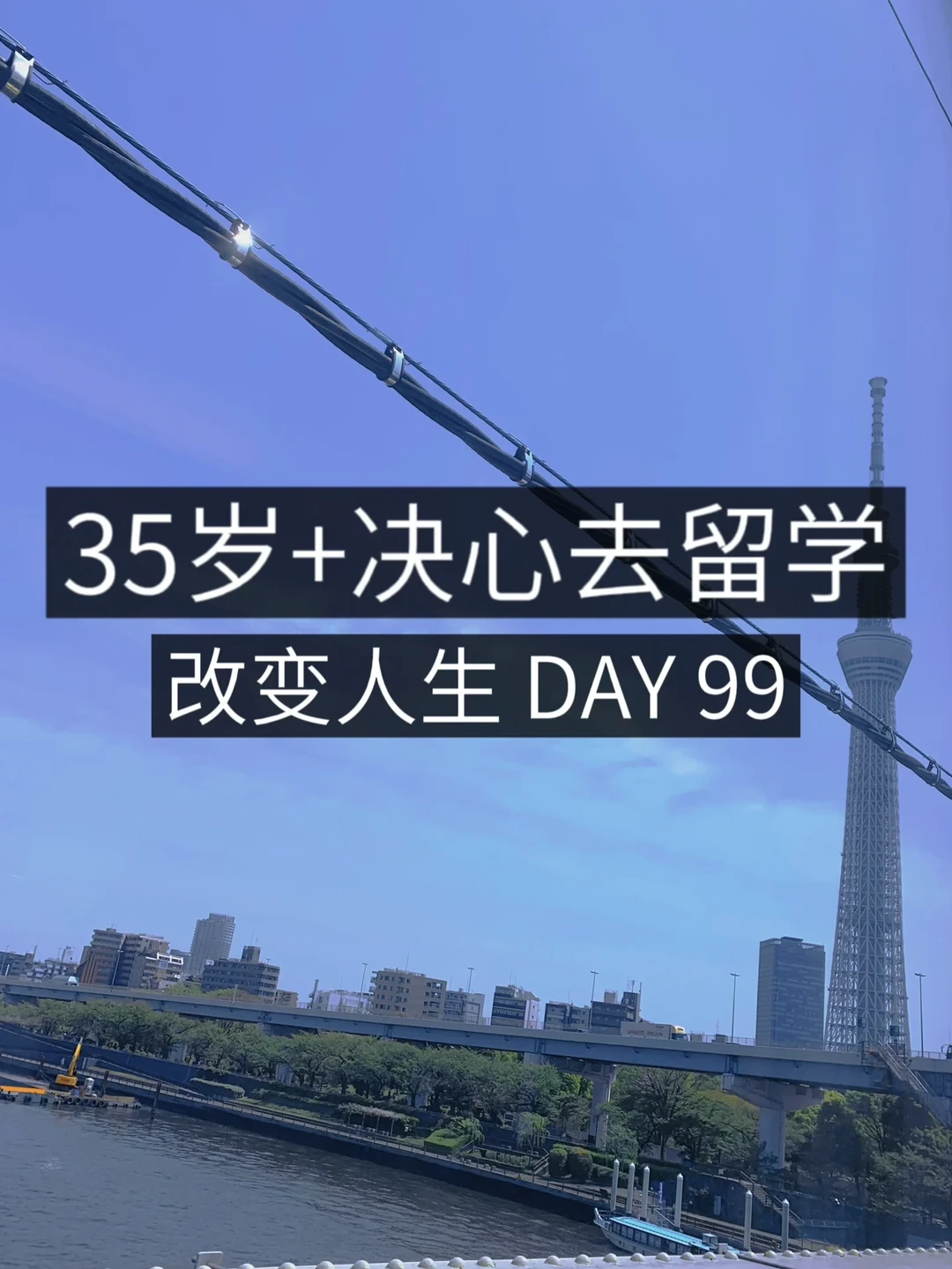35岁+女青年留学✈️关于留学的犹豫🫣