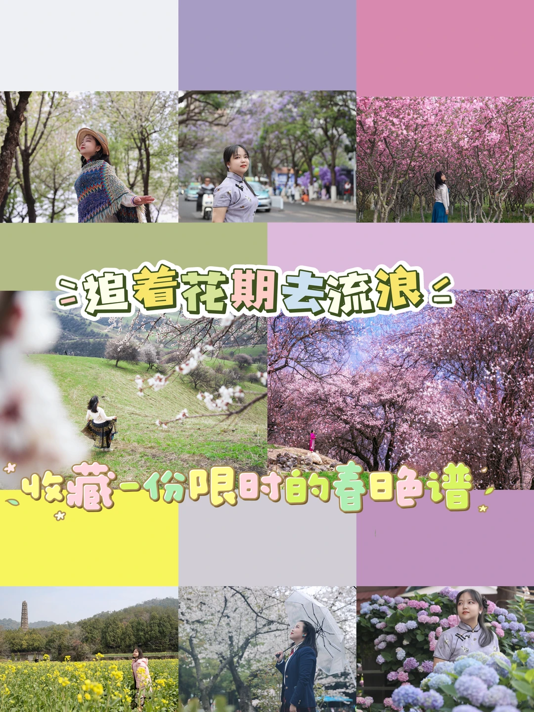追着花期去流浪🌺收藏一份限时的春日色谱