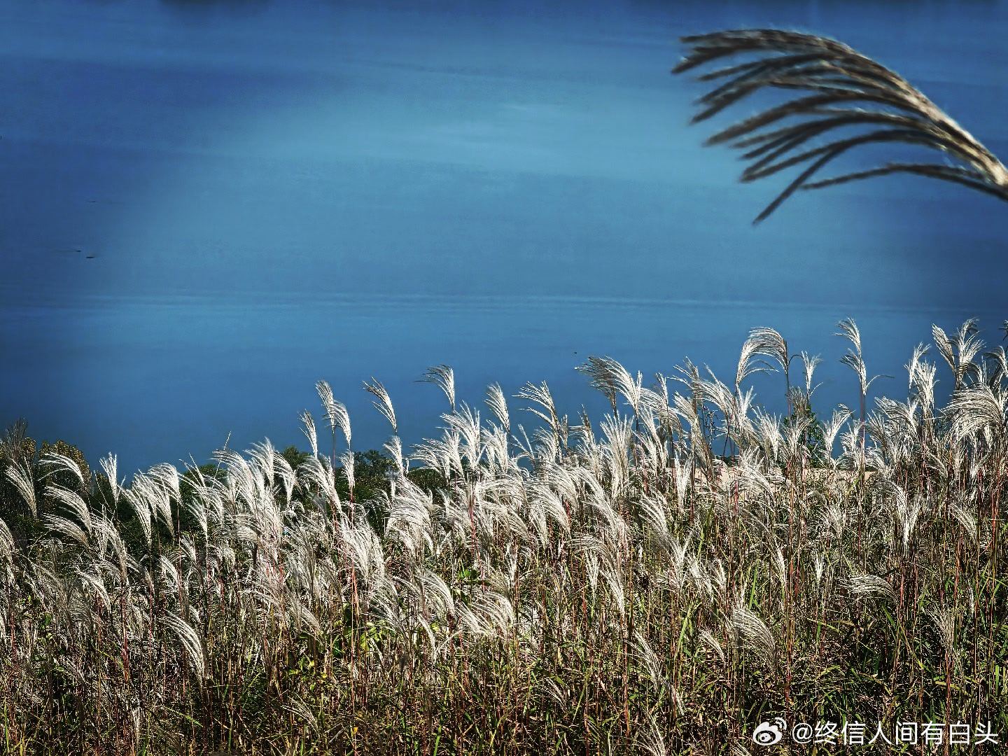 #适老化# 如果能选择，我估计老太太愿意给我留下的，是那个善良 顽强 勤劳 能干 干净  不吐恶言……这些印象。
可惜，她无法选择地变成了现在这个不讲道理  任性 胡说八道     看人“有罪论”      无法沟通   任性   恶意揣测的  但又胃口和消化极好的老人。

不敢想象，我如果无法选择地变成了一个令 ​