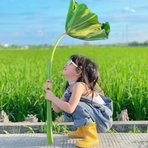 深蓝视野嘚历史