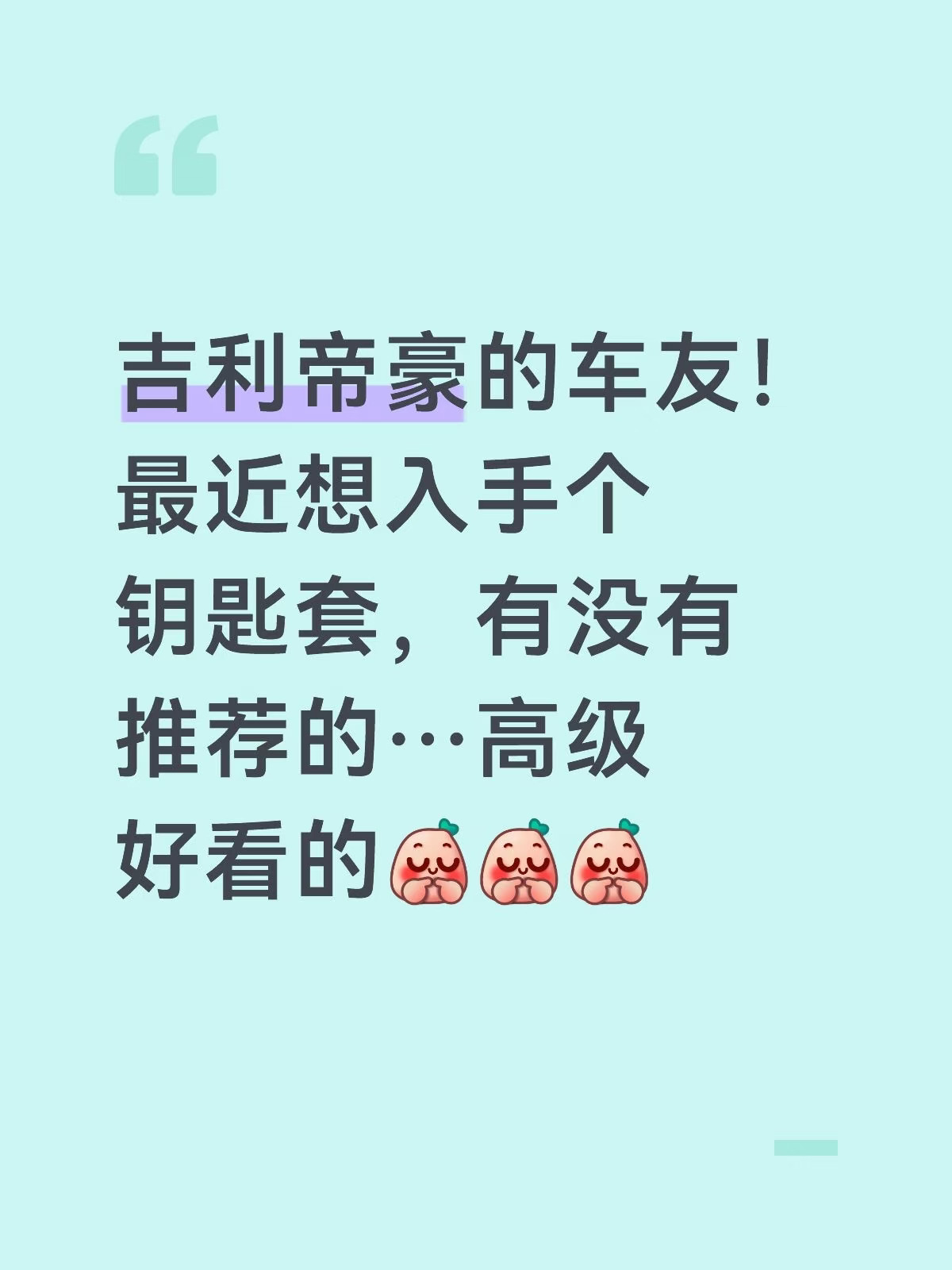 吉利帝豪的车钥匙套怎么选，求分享！