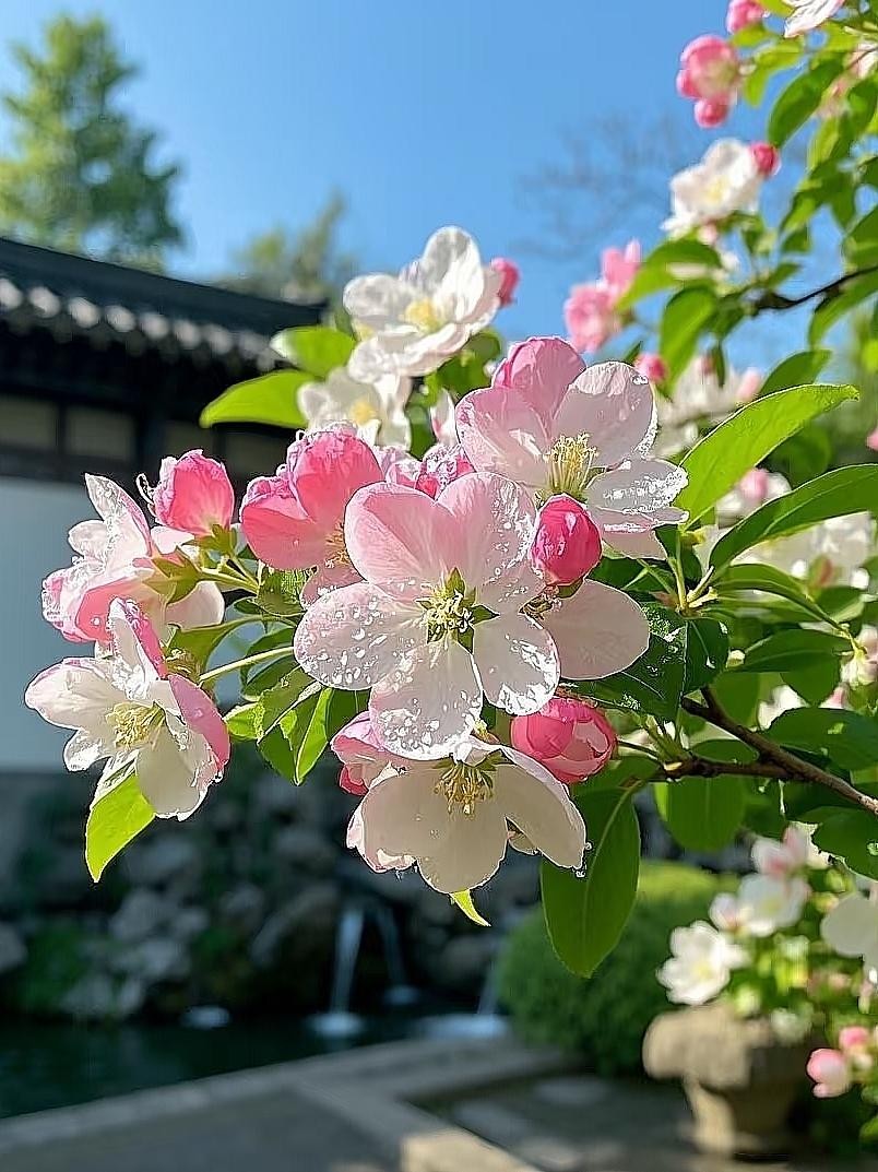 全款无贷款的房子攥在手里，下个月的开销从哪里来。
这话听着像安慰。房子没贷款，确实少了每月那笔月供。
可日子是拿现金过的，不是拿一本房本过的。
有人把张颂文搬出来。在北京租房住十几年，不买房，不折腾。又有人搬出陈道明，说有地方住、有戏拍就够了。两位都是靠本事吃饭的人，一个不买房，一个不炒房，摆在这儿
