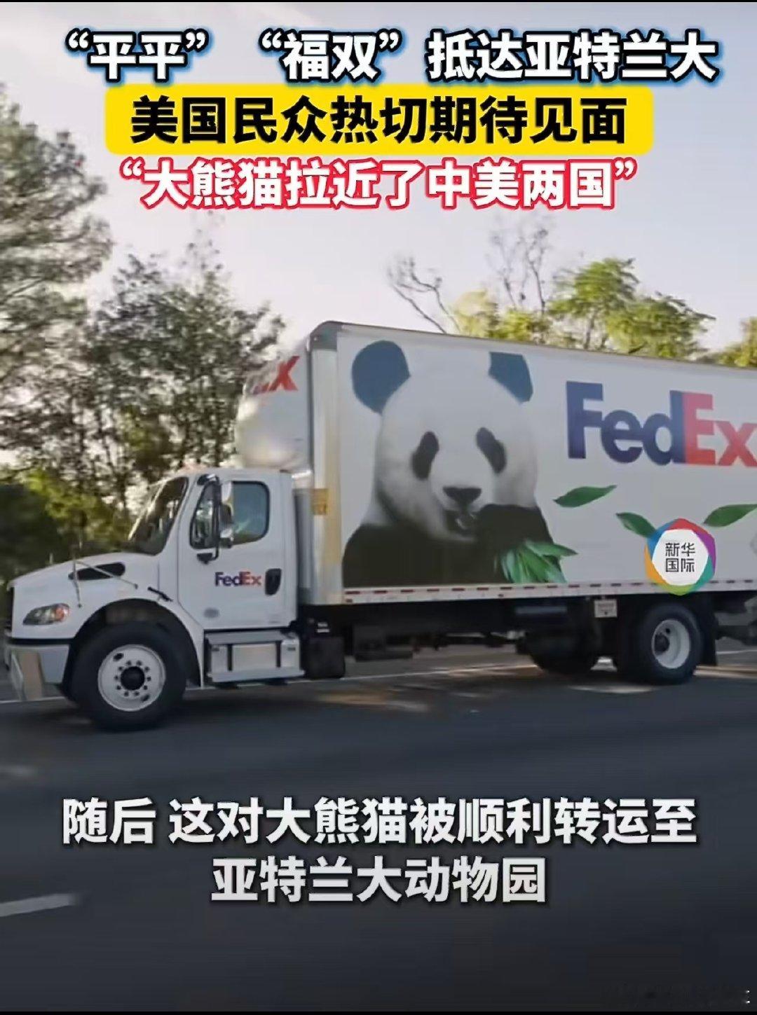 #平平福双已运至亚特兰大动物园#
听说到了以后要先隔离适应，愿熊猫宝贝一切安好。 ​