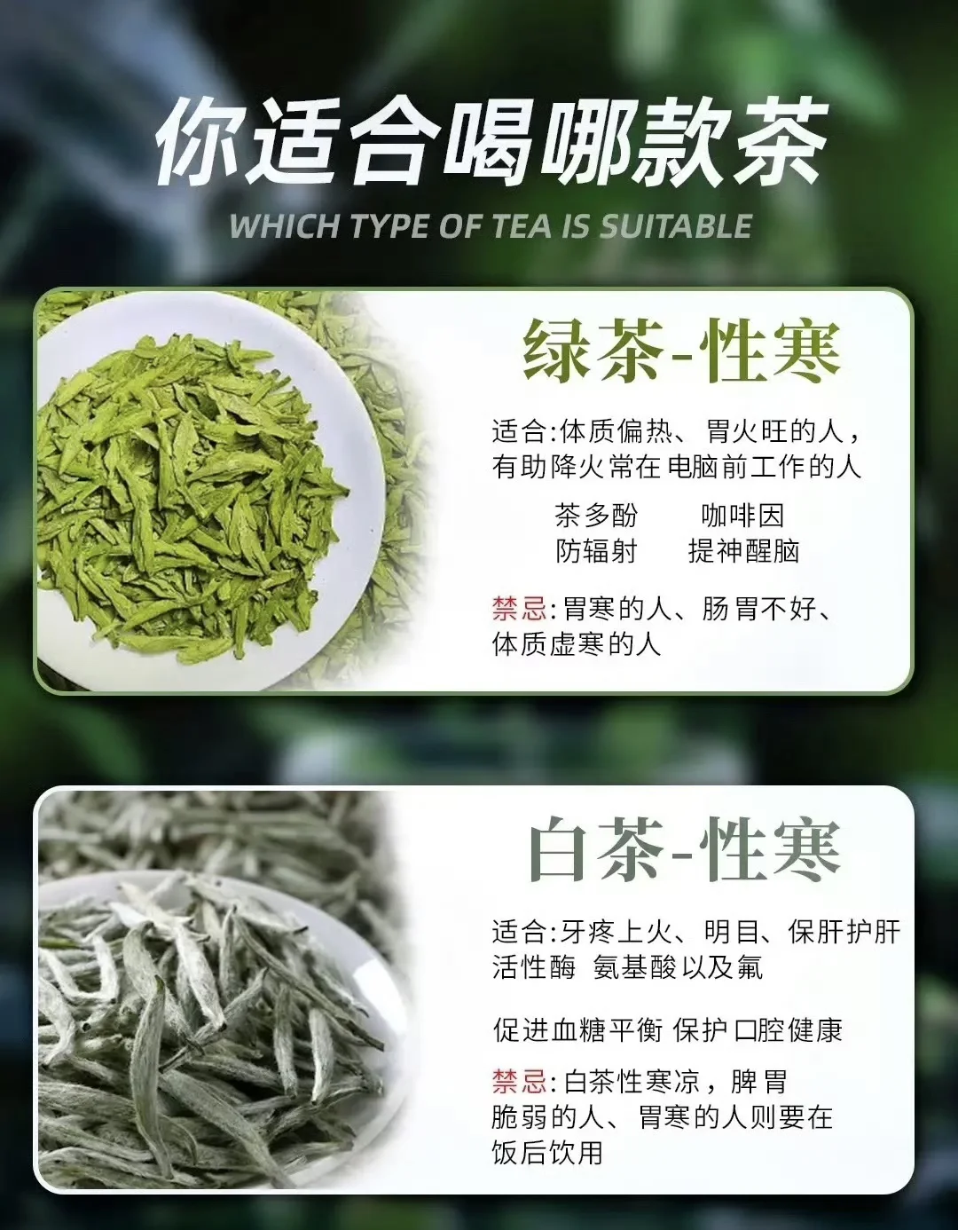 不同体质喝什么茶，你都知道吗？