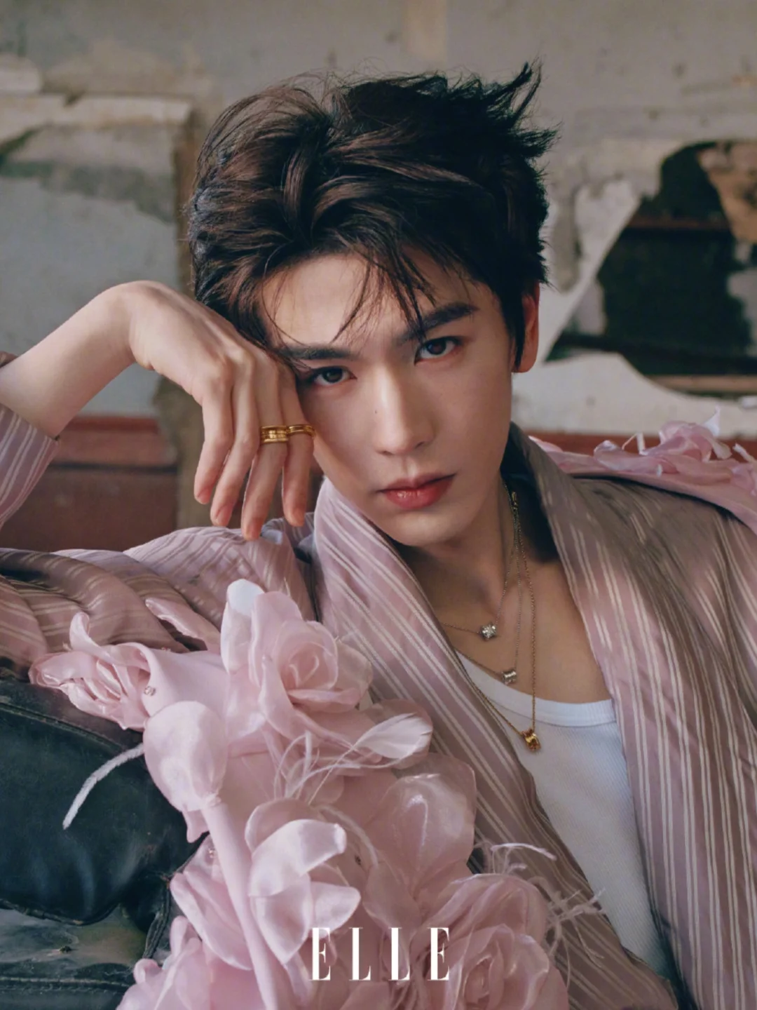 张凌赫ELLE新封面，这张脸太权威了！