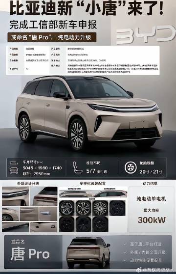 唐L 吸取教训，重获新生了！<br />从参数来看，它是用唐 L 的平...