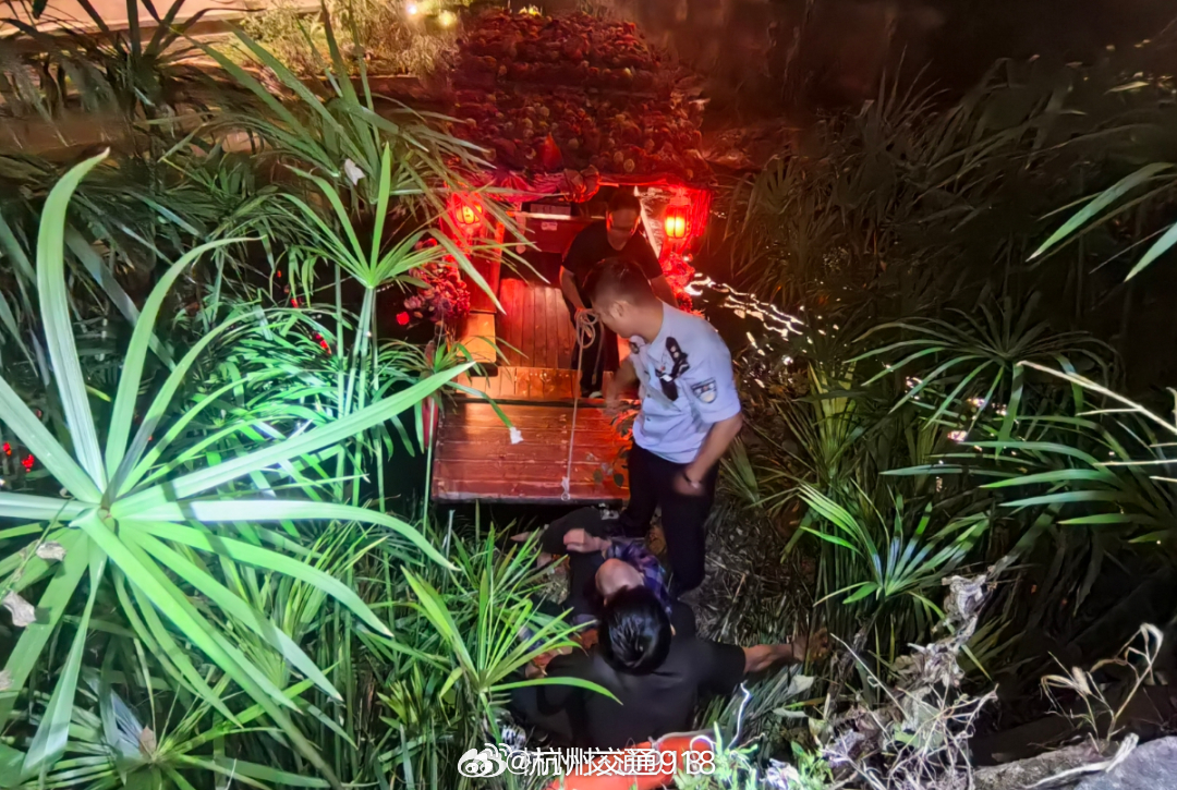 【#建德雨夜多方联动救下八旬老人#】#浪漫婚礼游船变身雨夜生命之舟# 
接警后，当地依托智慧110一键协同建群、圆心派警等机制，同步启动无人机等联动处置。梅城派出所民警、梅城镇应急消防管理站等第一时间赶到现场。

面对陡峭湿滑的危险地形，一名辅警果断跳下边坡，近距离安抚老人、查看伤势。落脚 ​