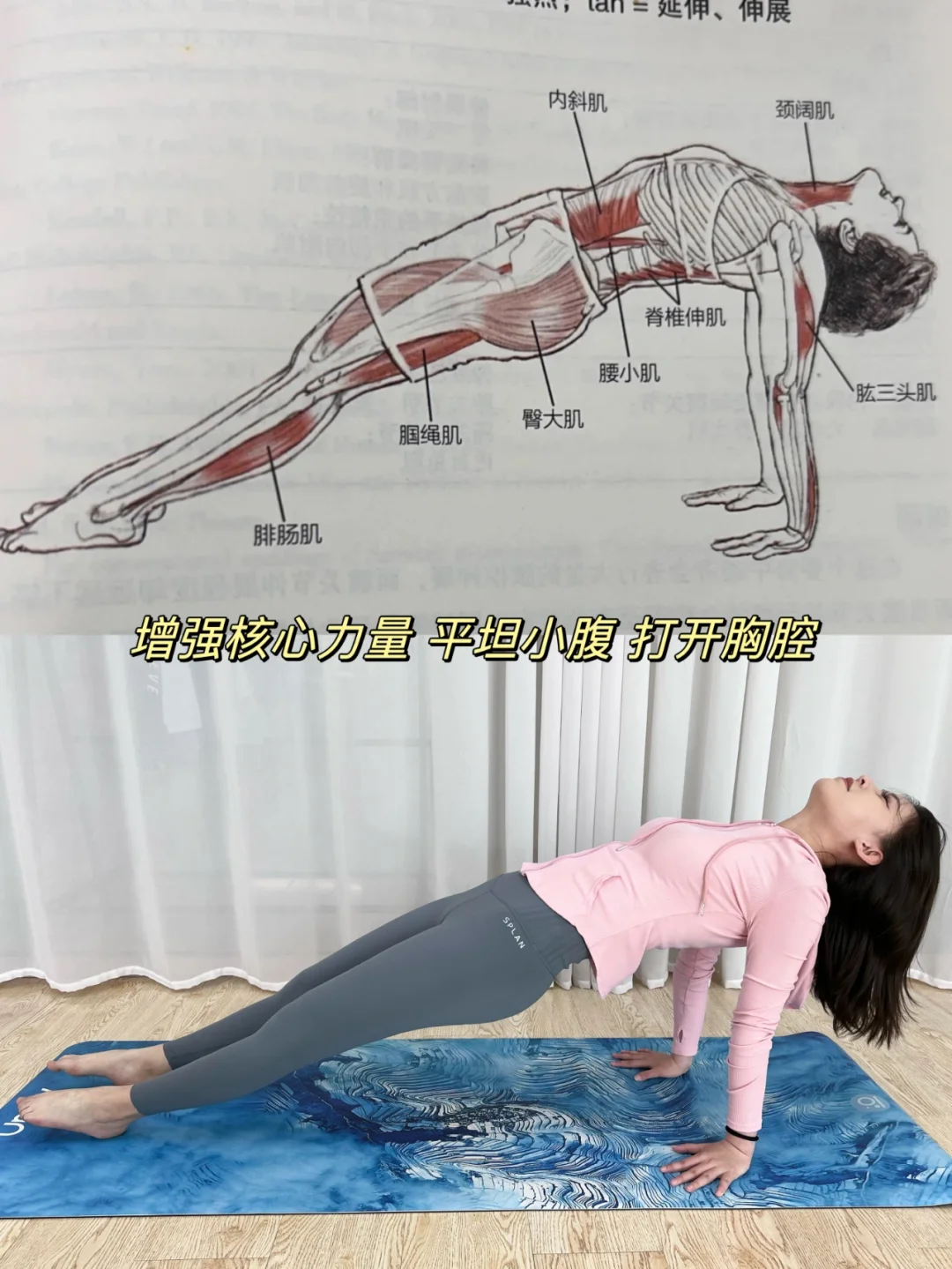 6个动作！改善骨盆前倾平坦小腹＋益生元