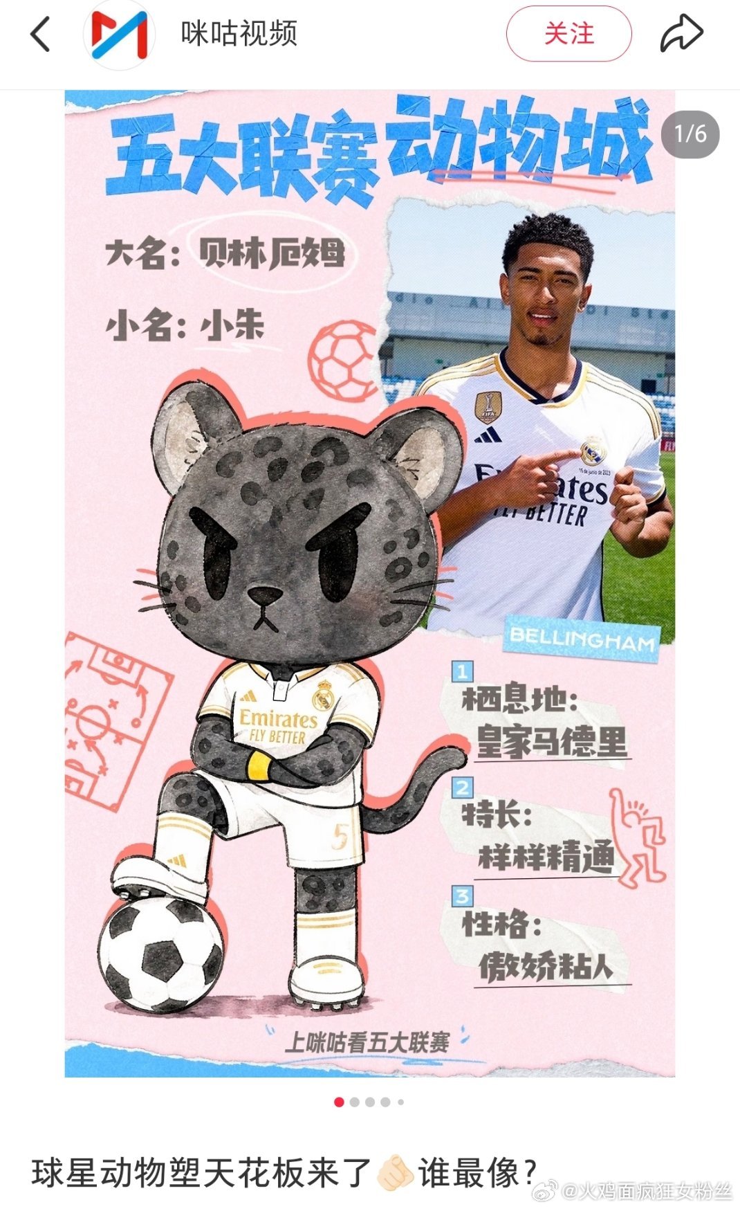 #贝林厄姆[超话]# 老大们这会不会太可爱 ​