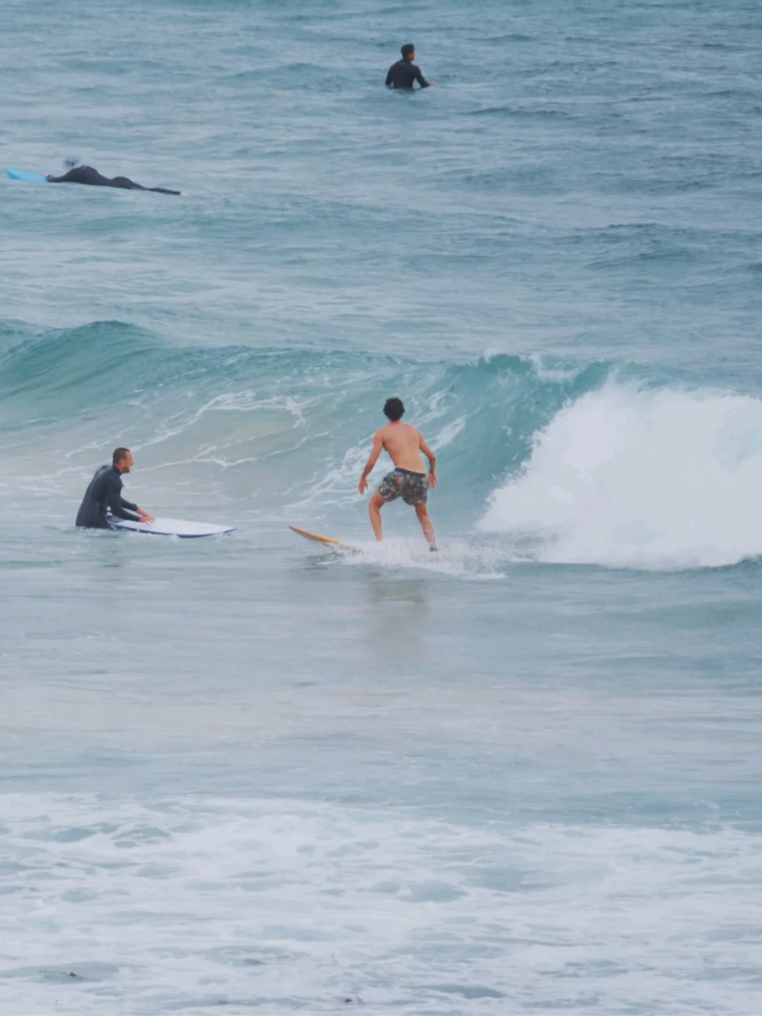 为了这1️⃣8️⃣张图我特地飞了一次悉尼