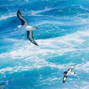 南海之浪