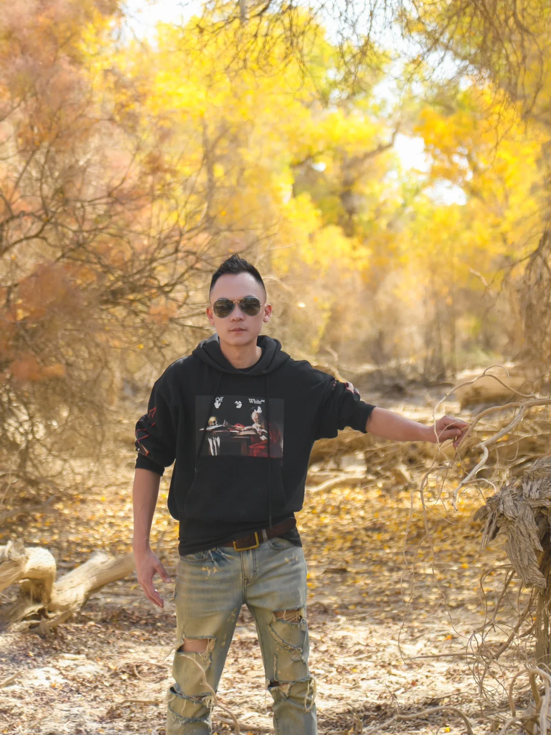 为了遇见你，翻山越岭1千公里｜塔里木胡杨林