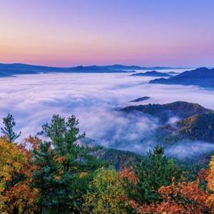 空谷幽兰的空想