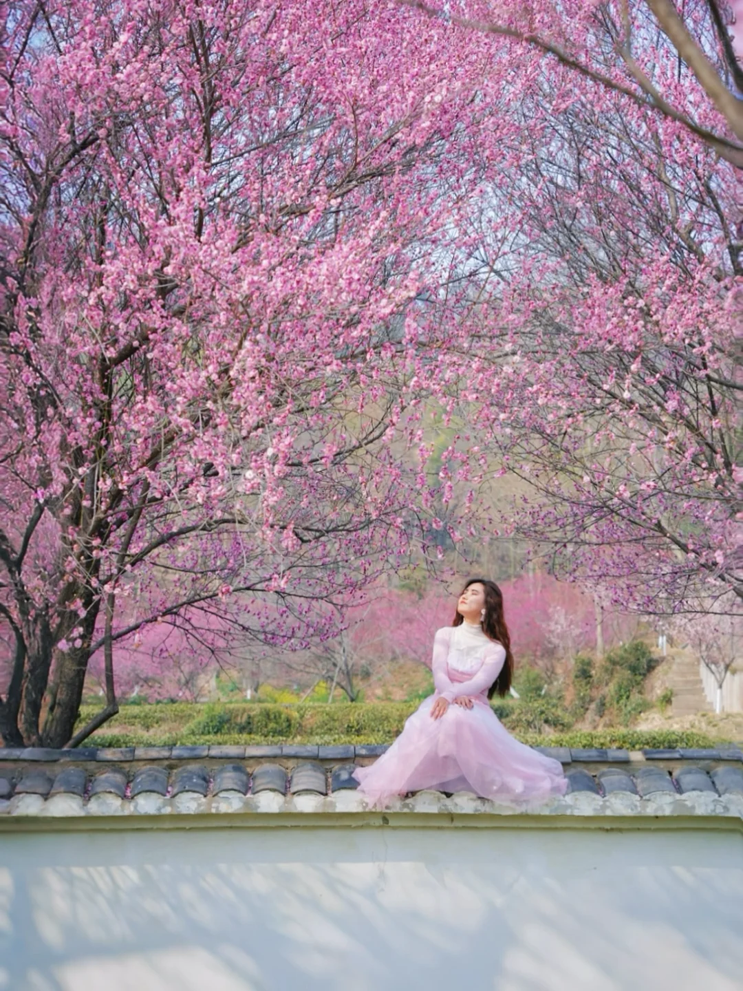 武汉你嘴真严！梅花山谷开爆了都不宣传！！