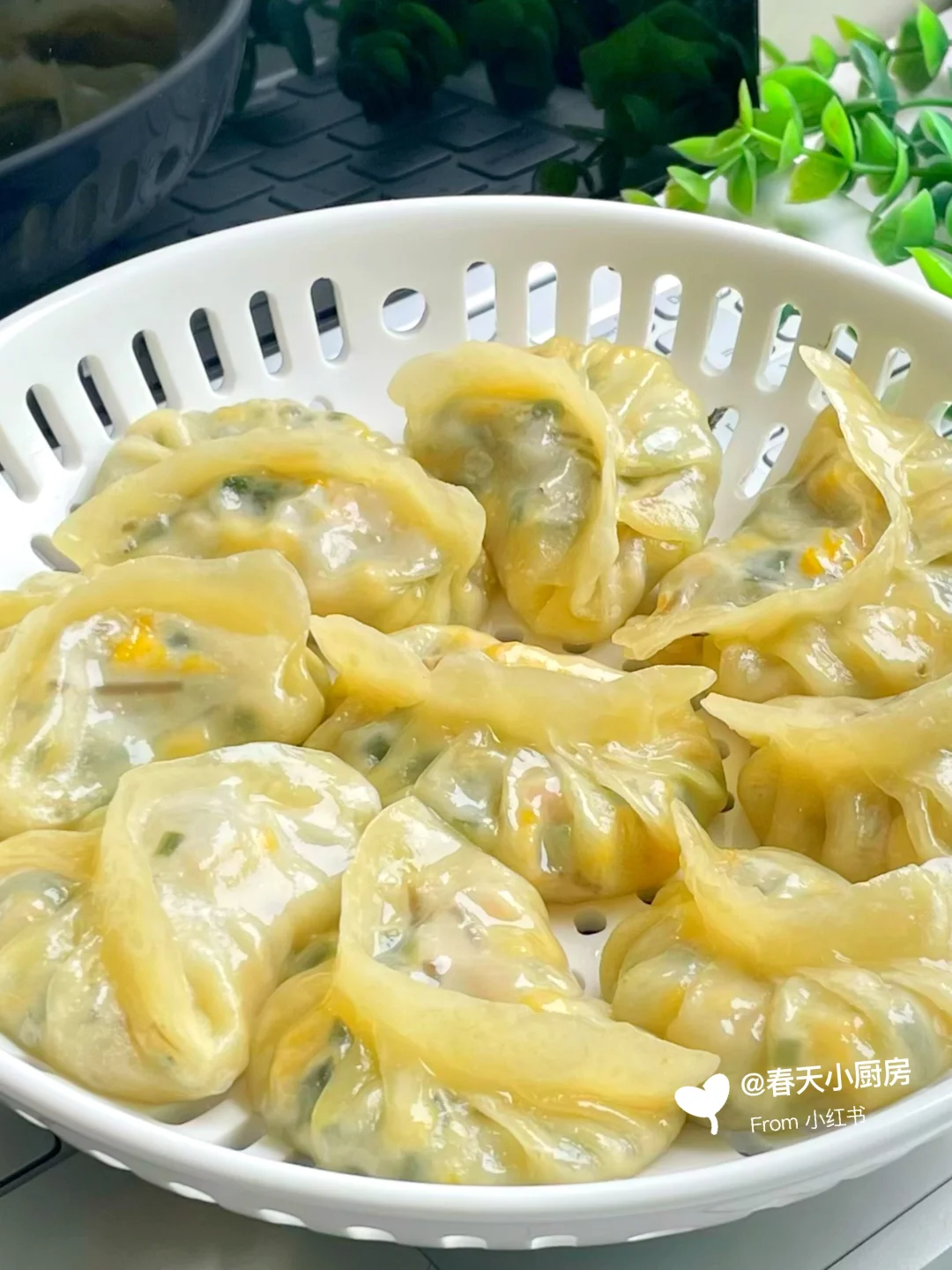 🔥烫面蒸饺｜皮薄透亮爆汁，零失败配方！