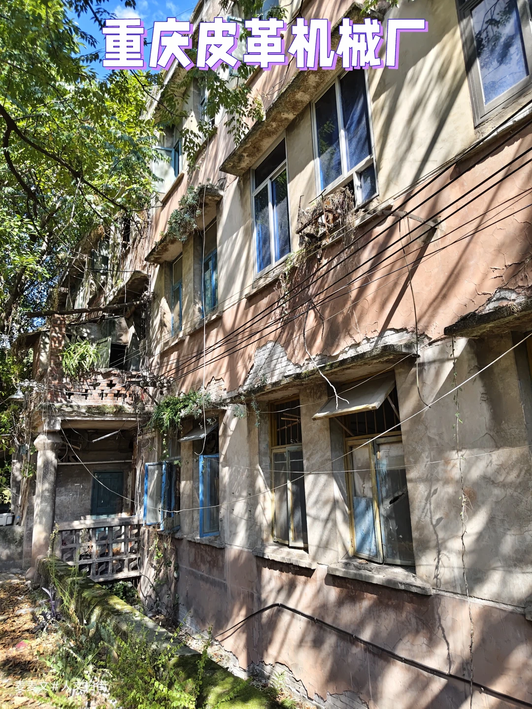 【南岸】80年代重庆二轻局皮革机械厂遗迹