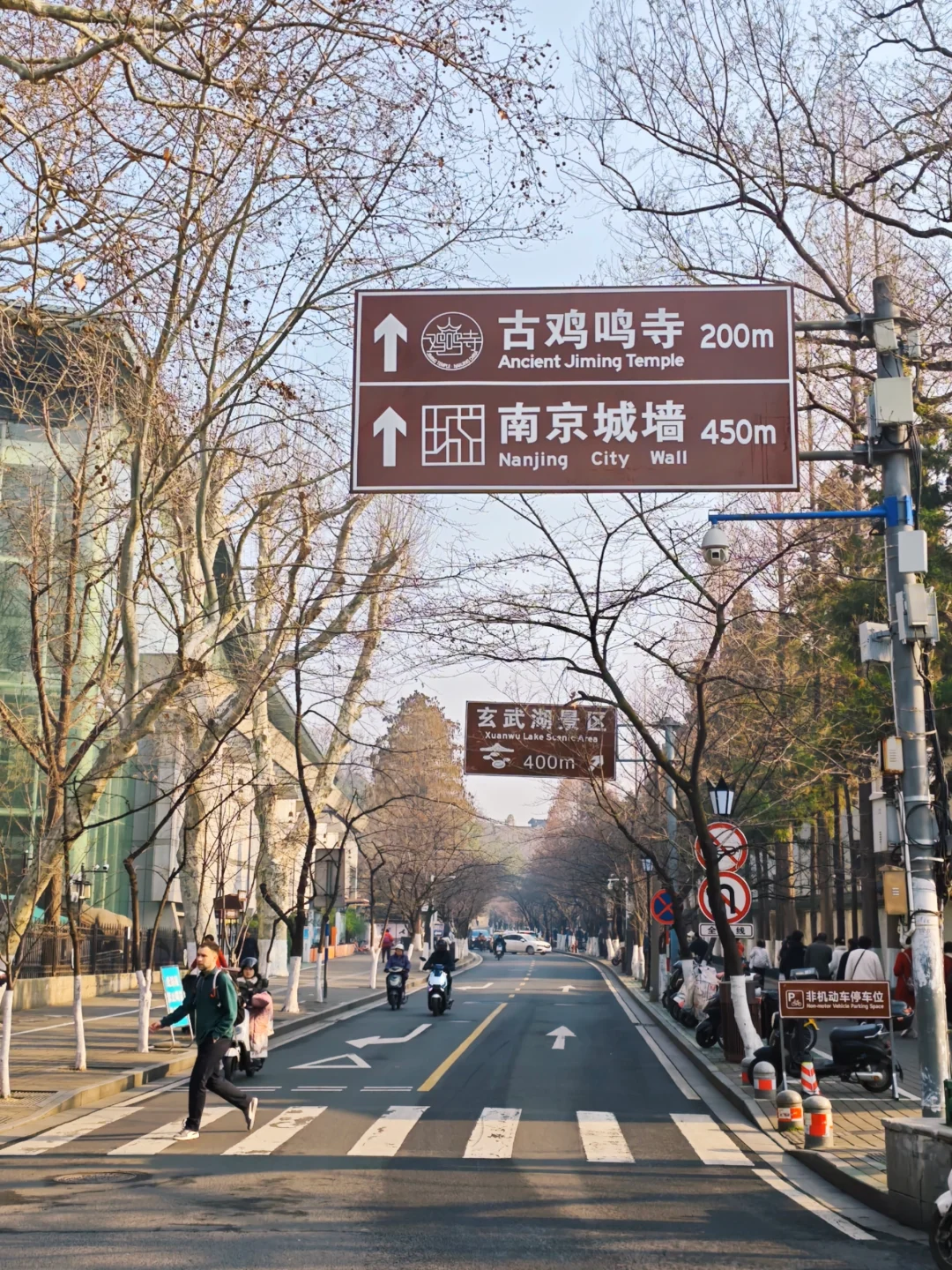 🌸3.12实况｜南京鸡鸣寺樱花没开！再等等