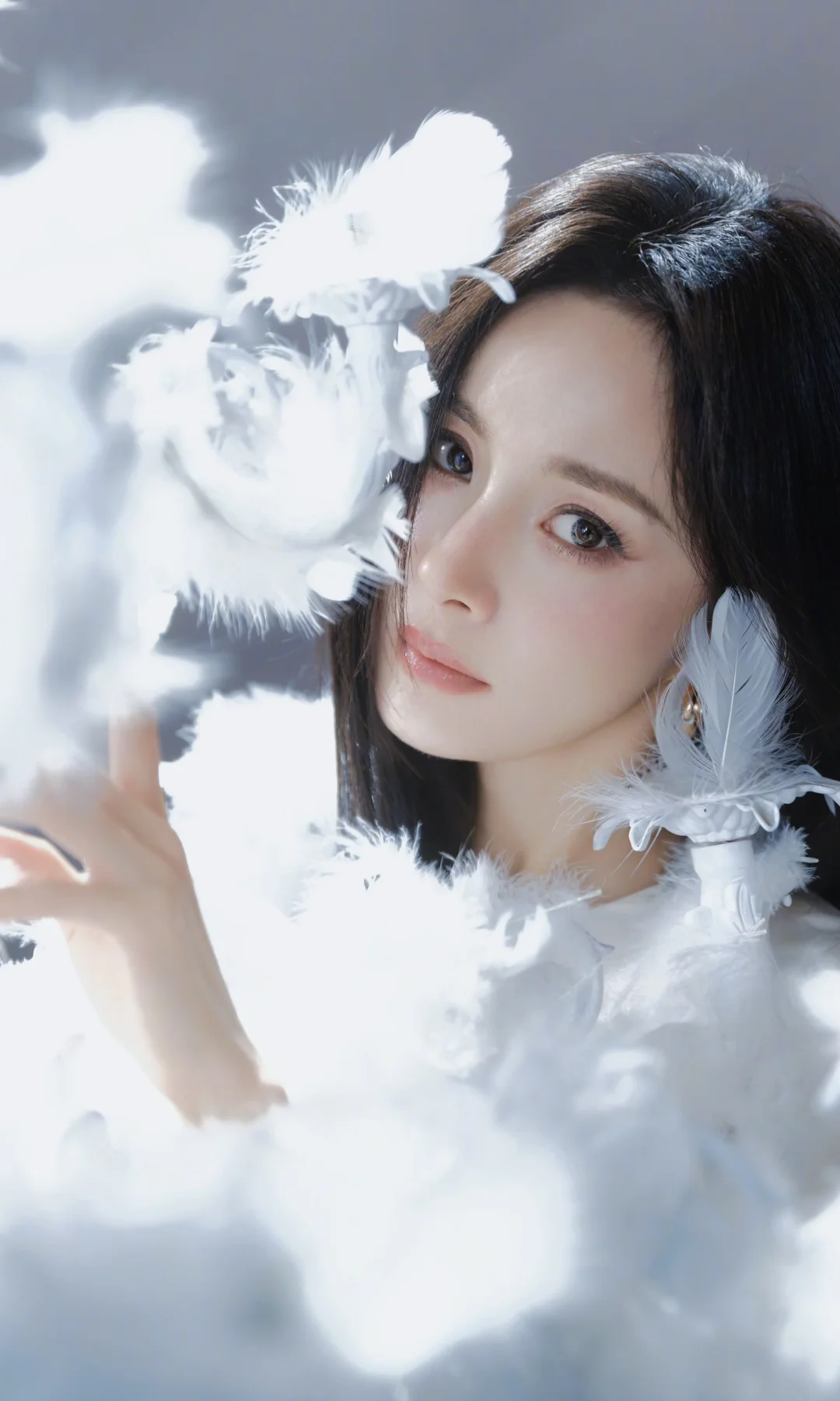 杨幂 壁纸