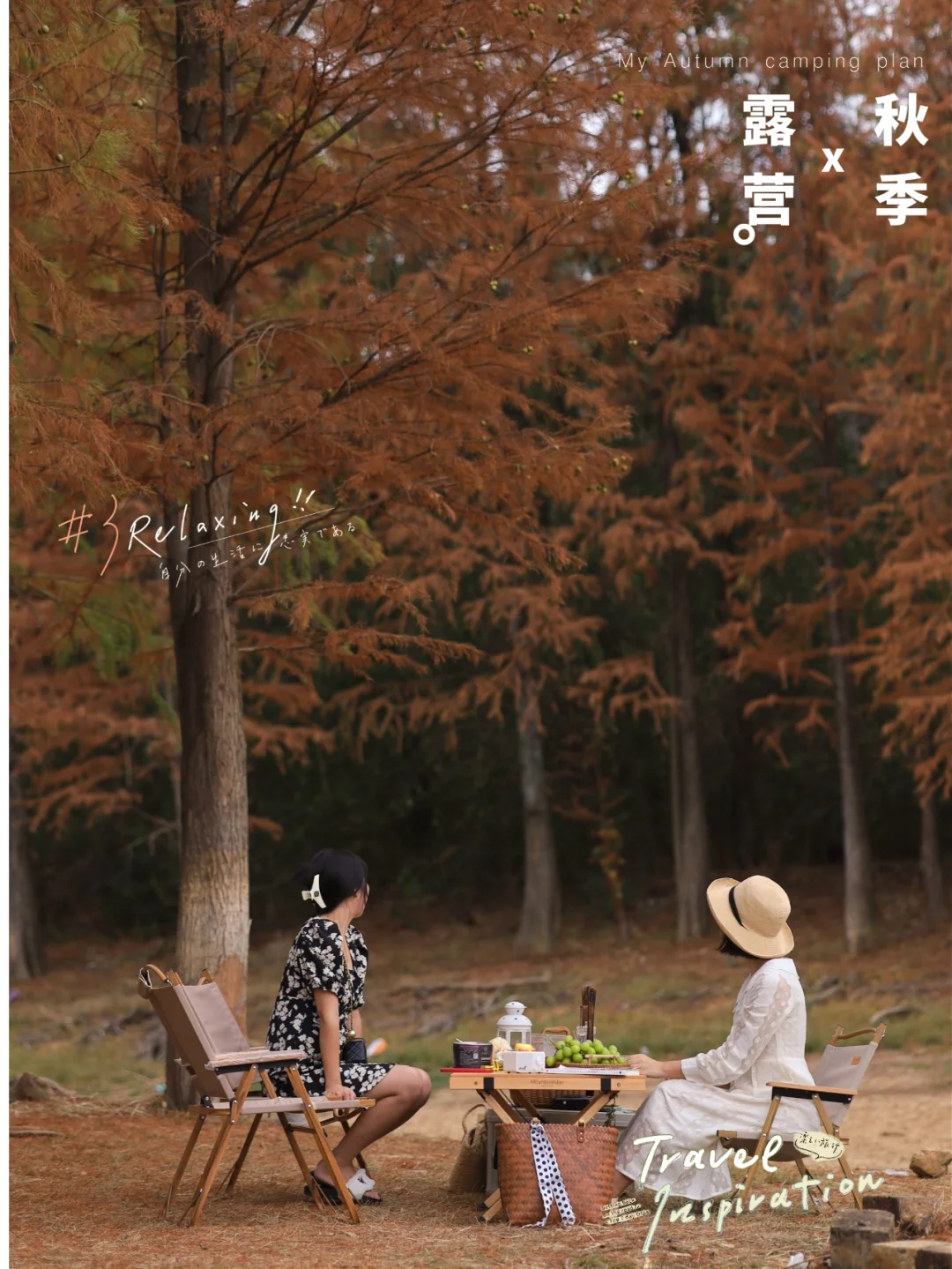 美哭❗️武汉绝美露营赏秋地，喝茶赏水杉