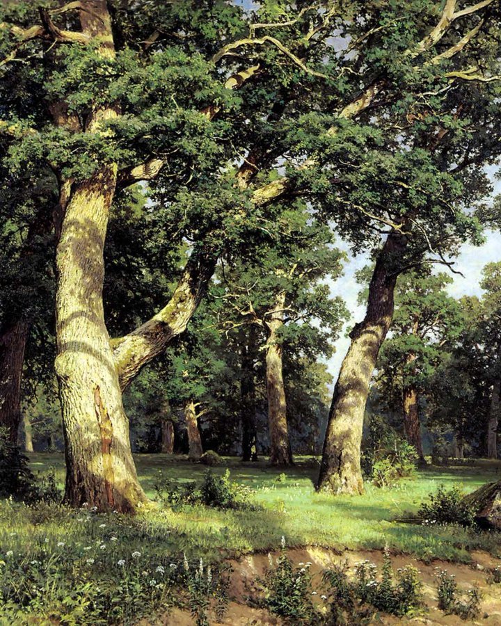 这不是照片作品名为 Oak Grove（橡树林），由俄罗斯画家 伊万·希施金（Ivan Shishkin） 于 1887 年创作。画面细致到每一道树皮纹理、每一片叶子、每一根草叶都由画家亲手描绘。希施金画树木非常忠实，几乎像是为每棵树作“肖像”，而不仅仅是画森林的整体。他一生常在圣彼得堡附近的树林中漫步，细致观察自然，因此在俄罗斯被称为“俄罗斯森林的歌者”。