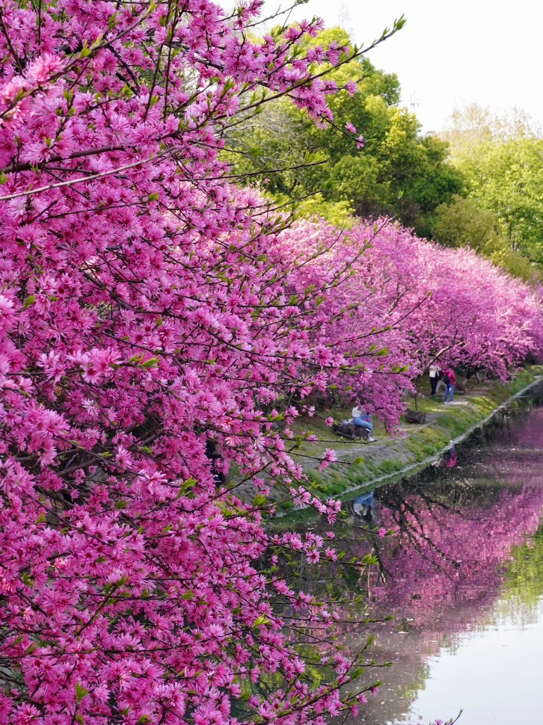 以为西湖已经够美了，直到我去了这里…