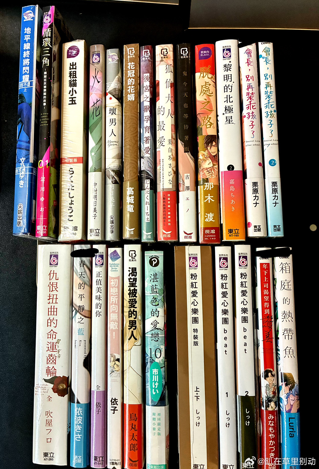#苔太阳交流[超话]# 
地平线终将闪耀上 （听见向阳之声作者）
循环三角跟踪狂反被跟踪首刷限定
出租屋猫小玉特装送册子和立牌
火花  坏男人
花冠的花絮
后宫之兽*育着爱
狐仙大人的最爱首刷限定
鬼今天也等待着雨首刷限定
脱*之路
黎明的北极星2
会长别装乖孩子了12 首刷
仇恨扭曲的命运齿轮
春天的平 ​