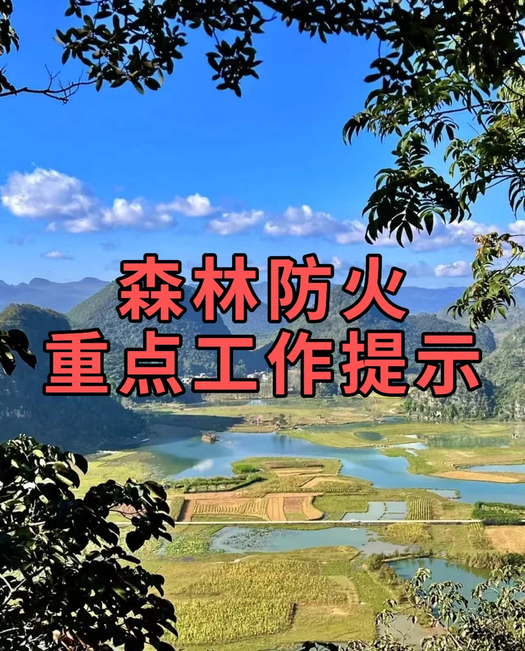 体制内：森林防火重点工作提示