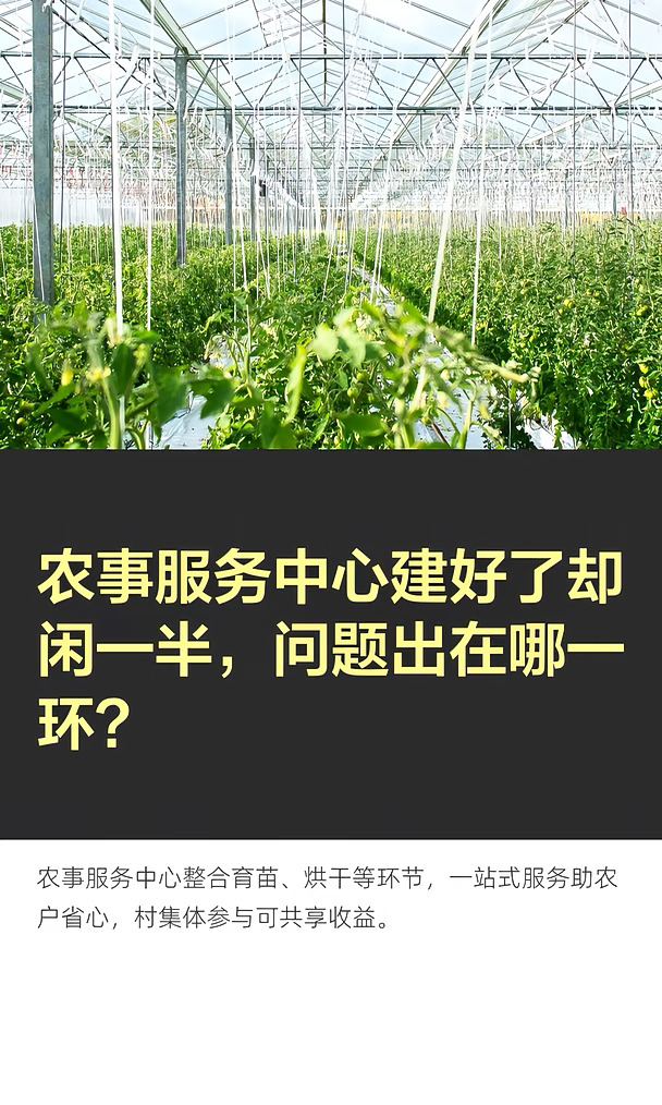 农事服务中心建好了却闲一半，问题出在哪一