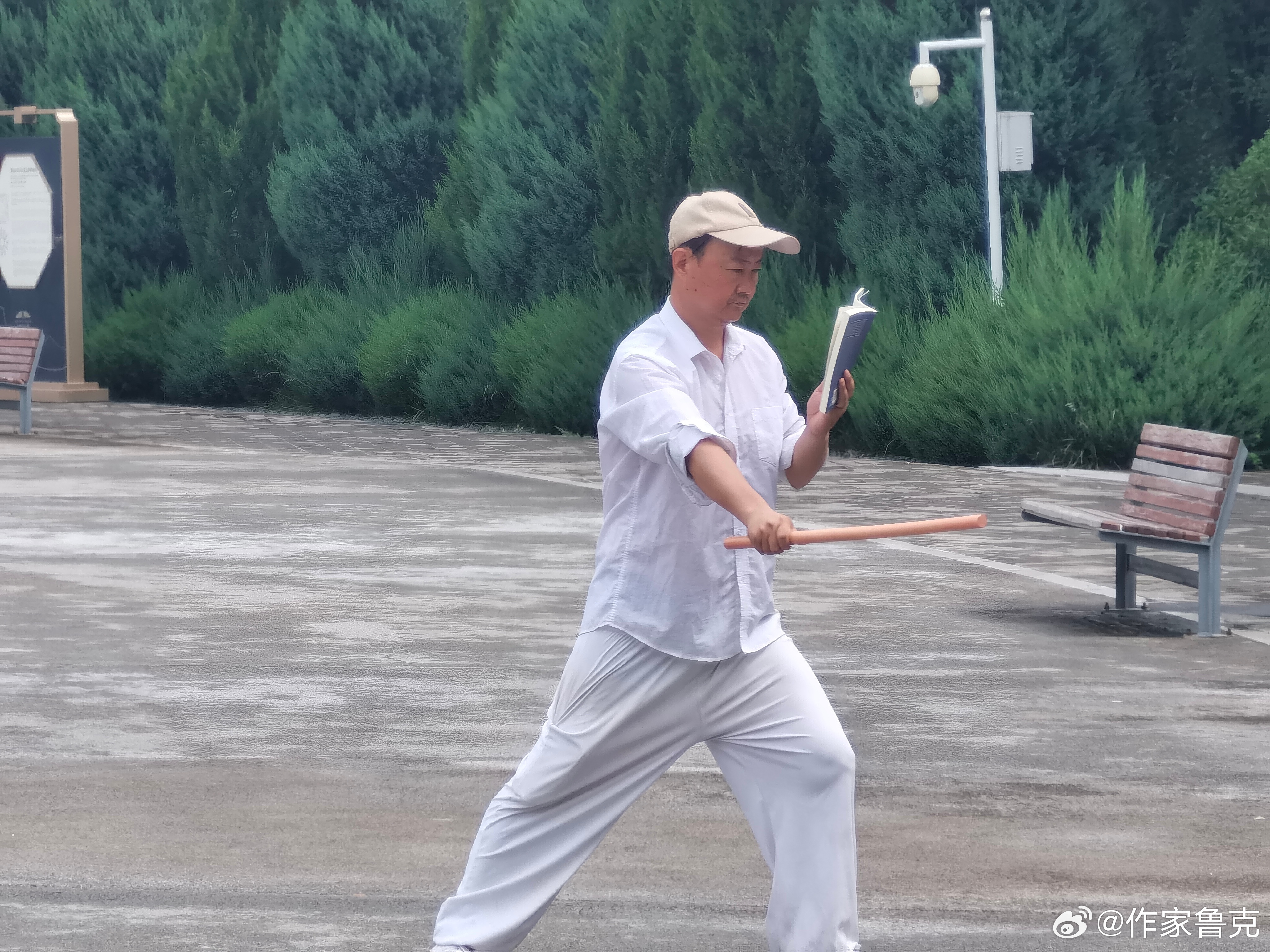 长安日记：白衣男子照着图谱练棍

白衣男子照着图谱练棍
他左手持谱，右手执棍，一招一式
有板有眼——

这是天坛遗址公园的上午
圜丘上的野草被秋风吹拂
直播女孩在小道上尖声浪笑
土堆上空的云朵投下淡淡阴影。

白衣男子照着图谱练棍，他的棍
没有舞出风声
口中也没喊出哼，哈，嗨
但眼神里确有杀气 ​