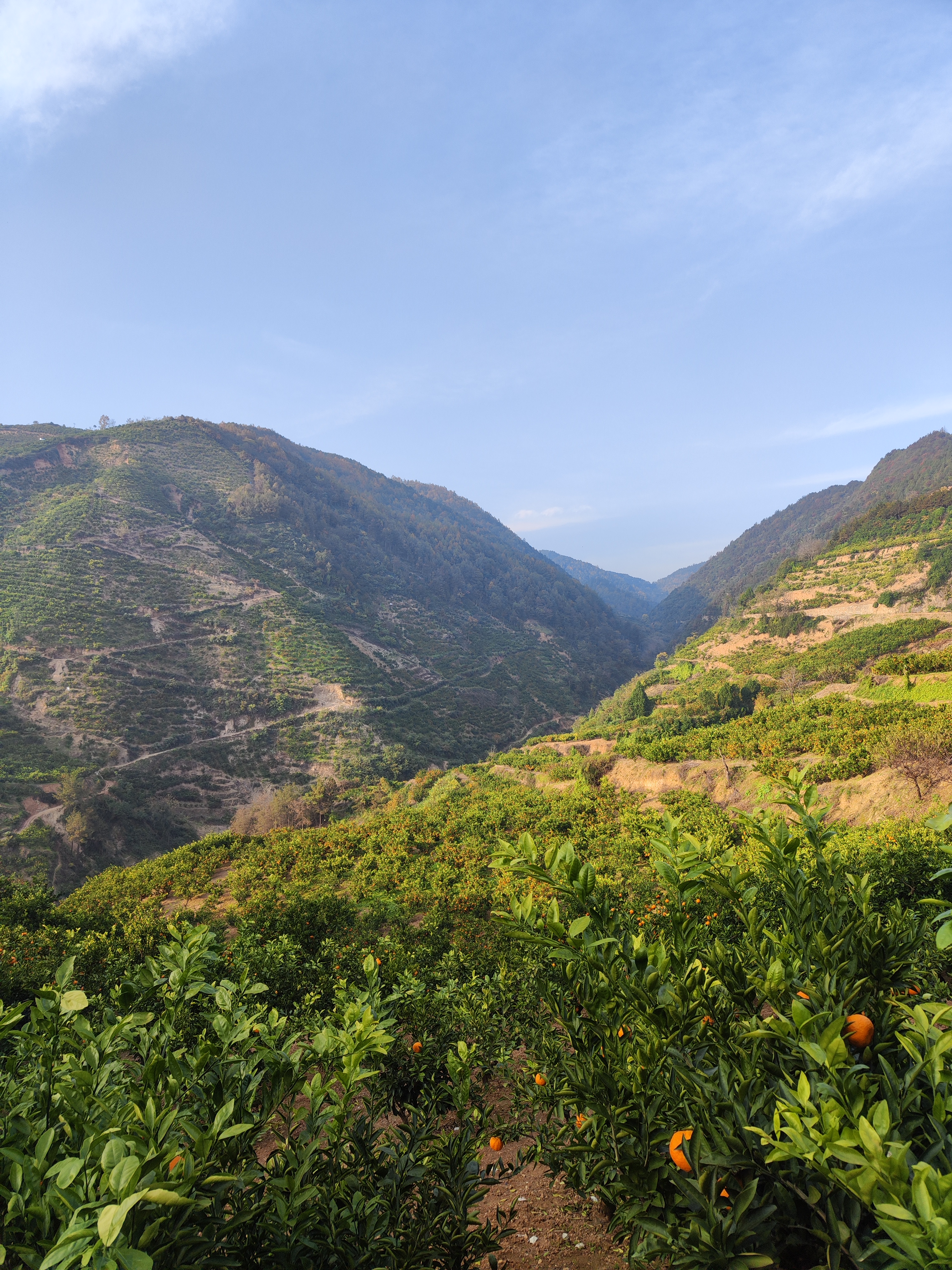 条友这一周 分享我这周的趣事：上周末我和朋友一同去爬山。一路上风景宜人...