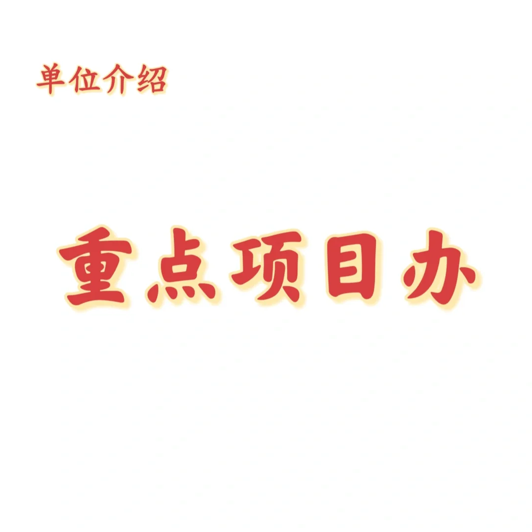 宝子们，这是重点项目办