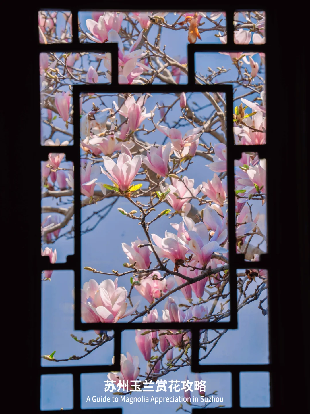 为了这些窗景，我特意去了一趟苏州…附攻略