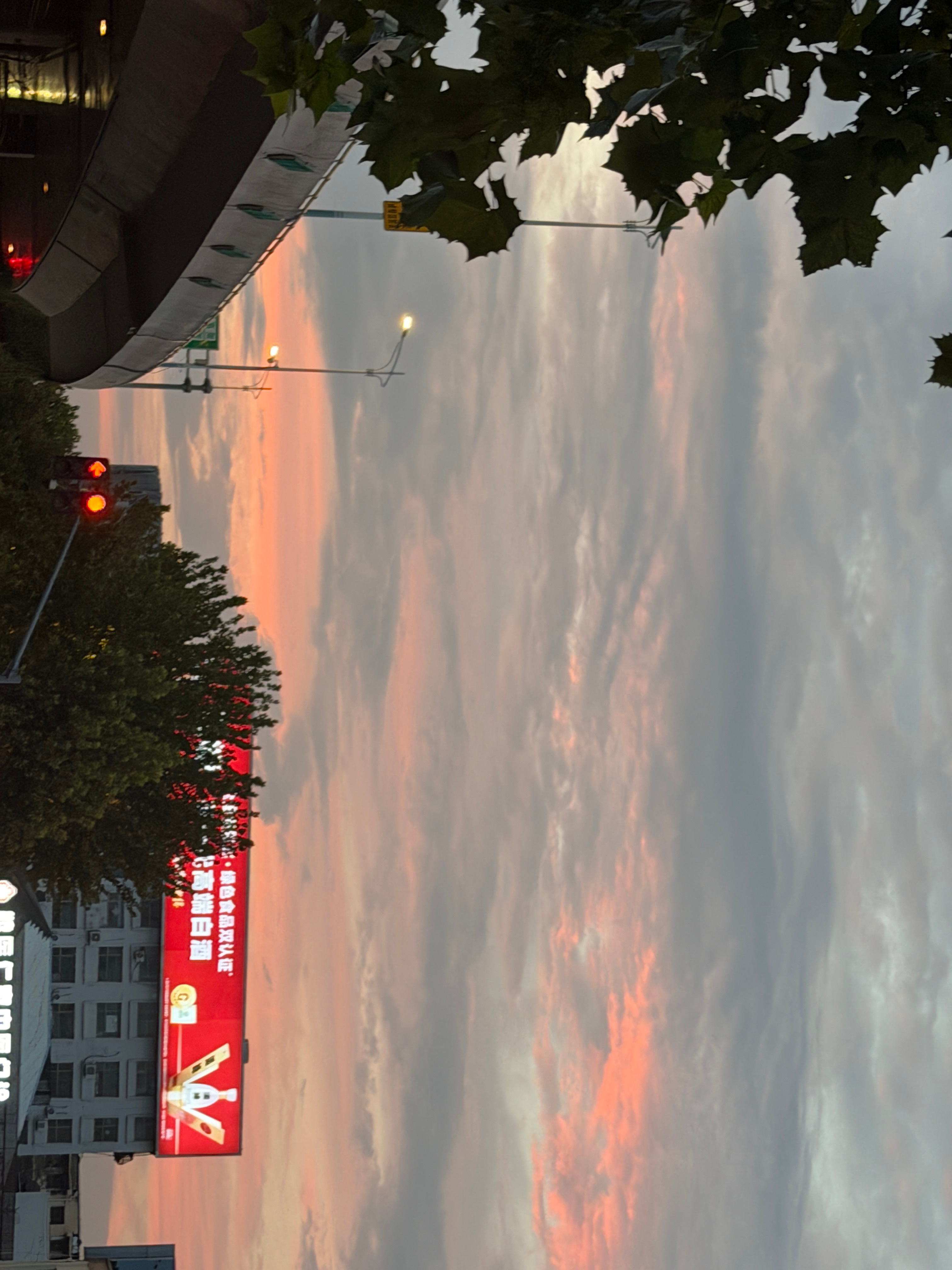#今天很好,明天可能比今天更好# 
1️⃣十足这款奶将取代悦鲜活
2️⃣骑行，被骑行数据气的委屈巴巴但是晚霞真美（其实不慢但是华山选手都太快了！
3️⃣我去谁家都先动筷——爱吃的人先享受人生
4️⃣这这这，苹果我尝了，确实甜甜脆脆。当果茶迎来苹果季
5️⃣乳酸菌美式喝了，喝迟了
6️⃣7️⃣偷吃 ​