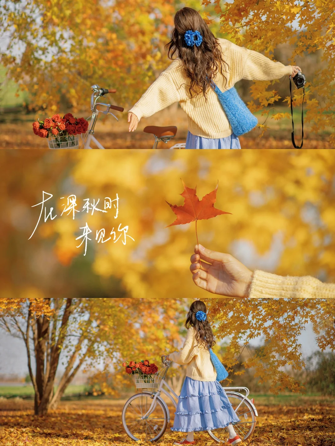 秋天公园落叶电影感拍照|骑进金黄色的秋天