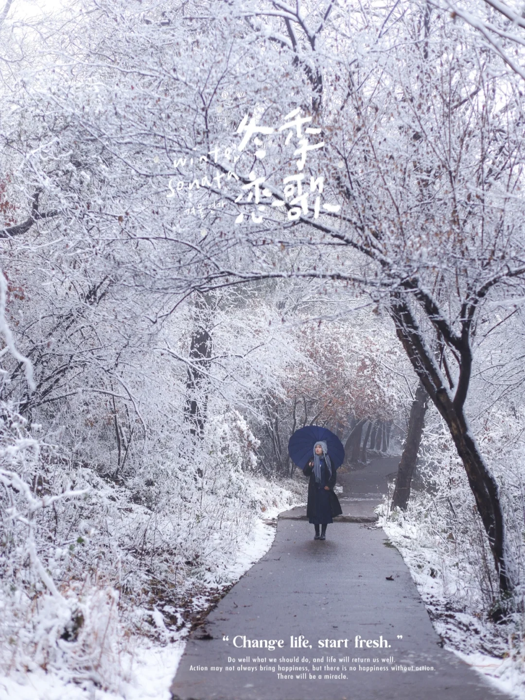 我在武汉拍了情书同款雪景，误入北海道❗️