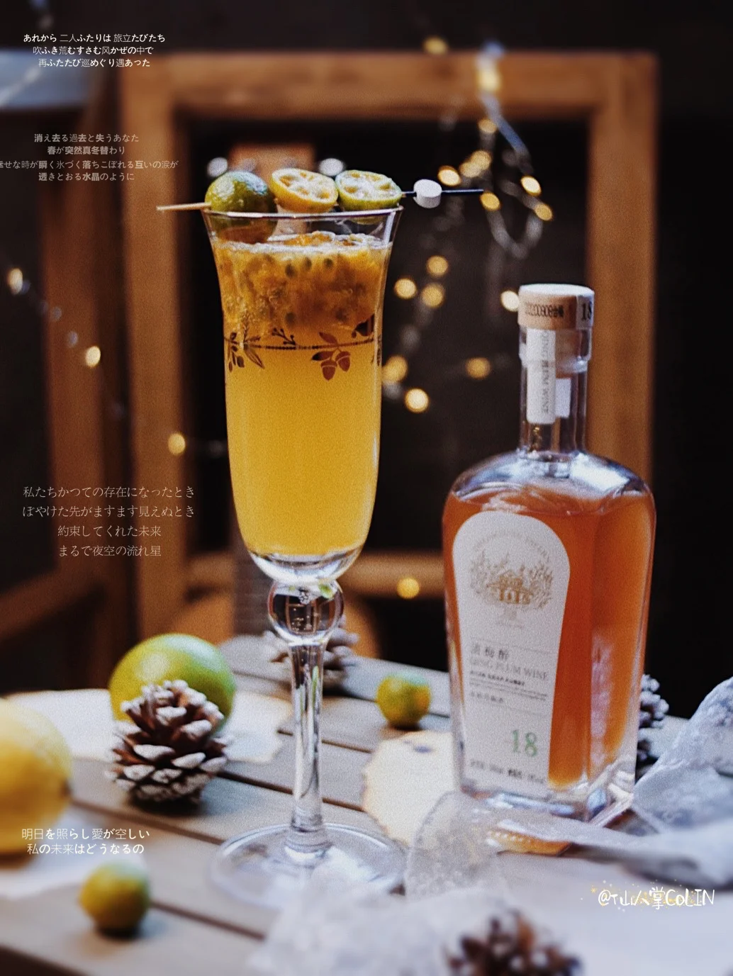 煮酒弄青梅🍸把夏天的记忆妥善安放