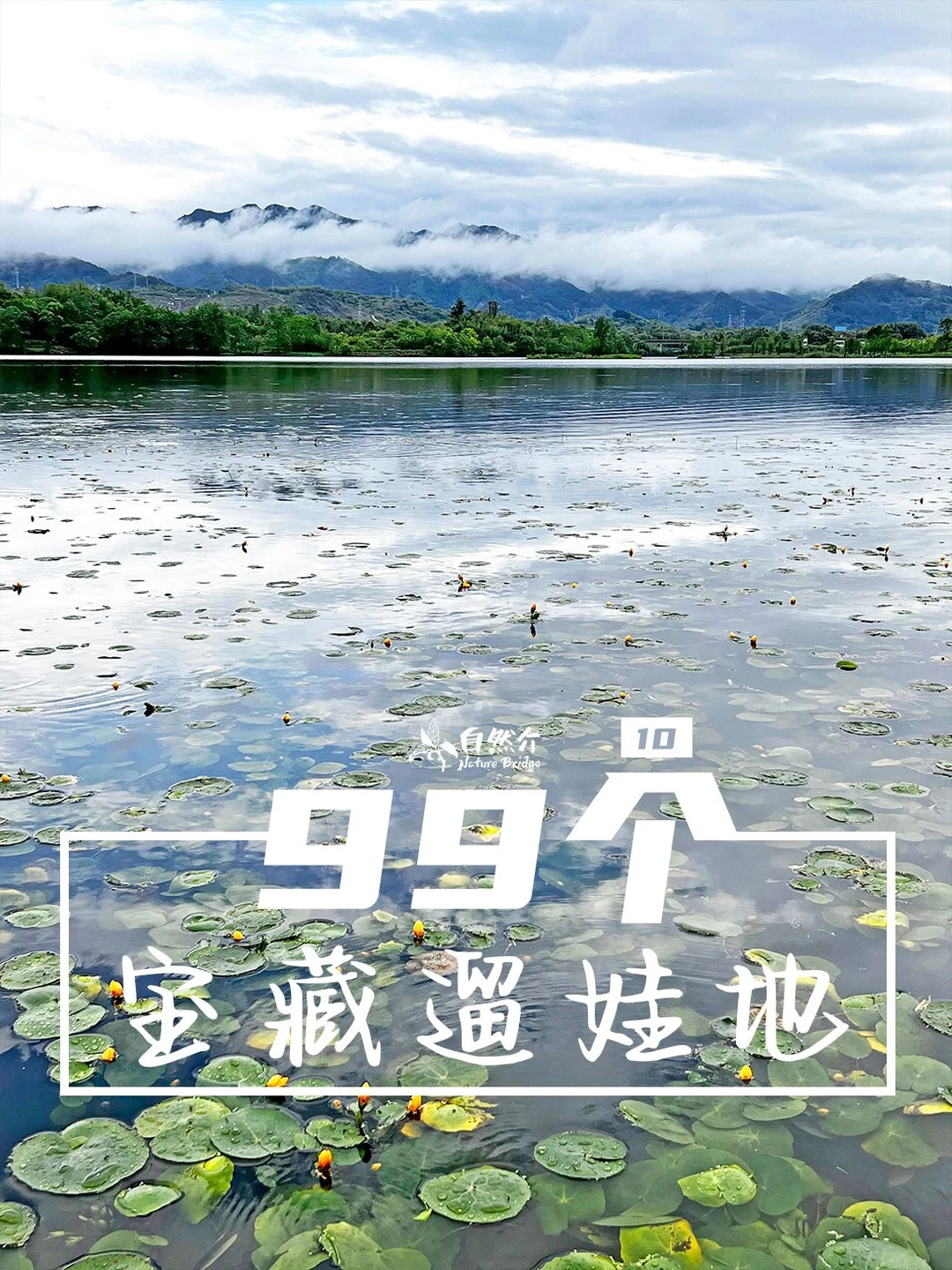 打卡99个宝藏遛娃地-双桂湖国家湿地公园
