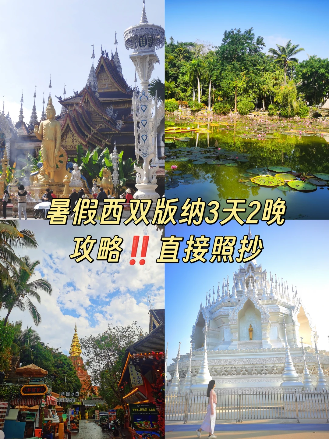 熬夜写的暑假西双版纳3天2晚攻略‼️