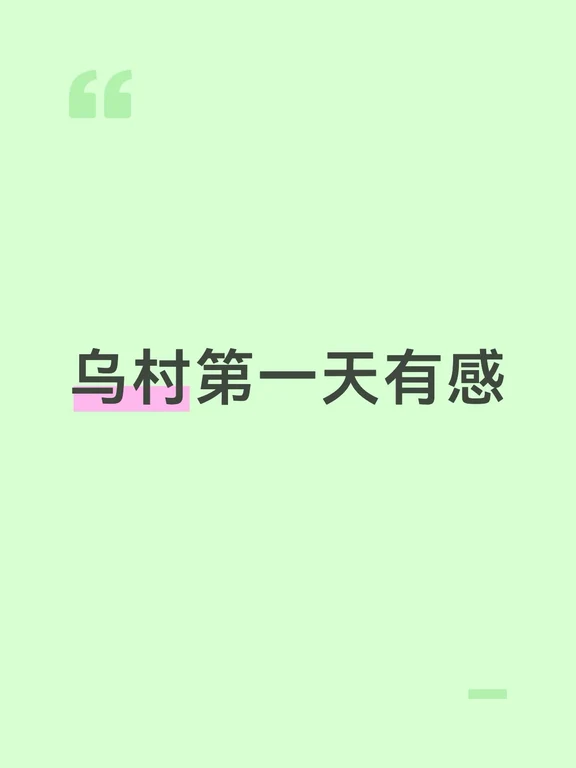 乌村第一天小结