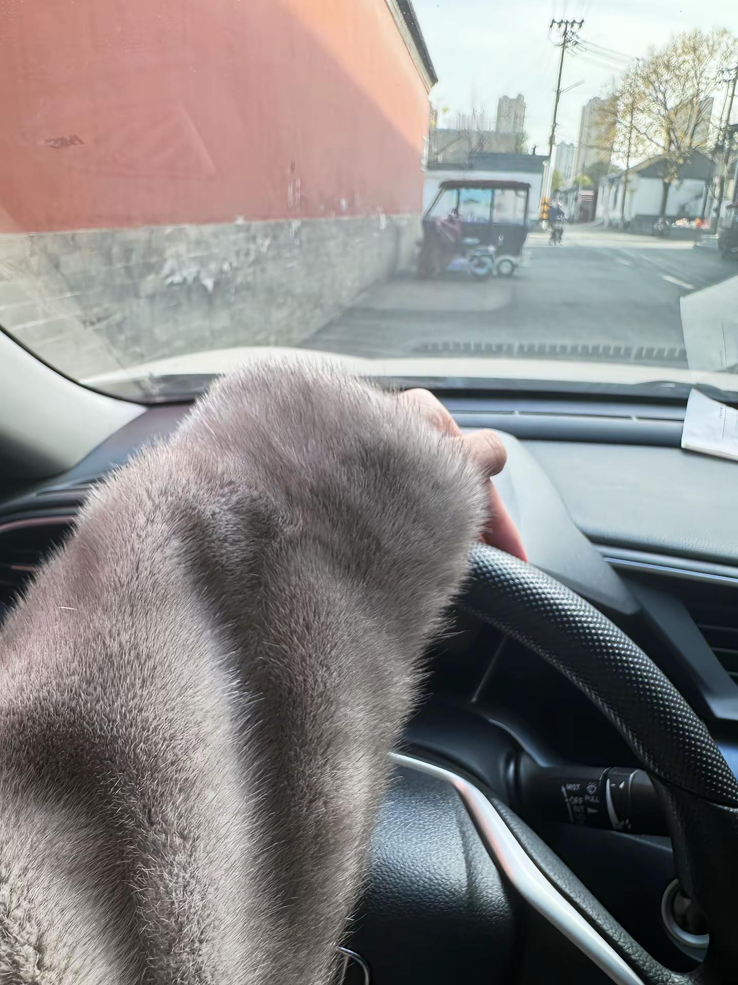 成熟女人的三大标志：穿貂，买黄金，听凤凰传奇