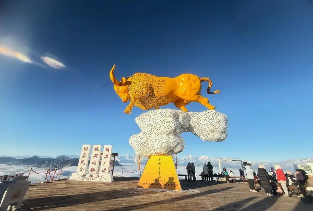 人只要活着，就会遇到很多感情上的事。   我跟我大姑姐住对门，平时低头...