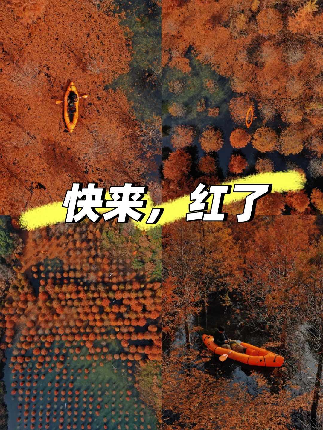 江浙沪一站式打开秋景