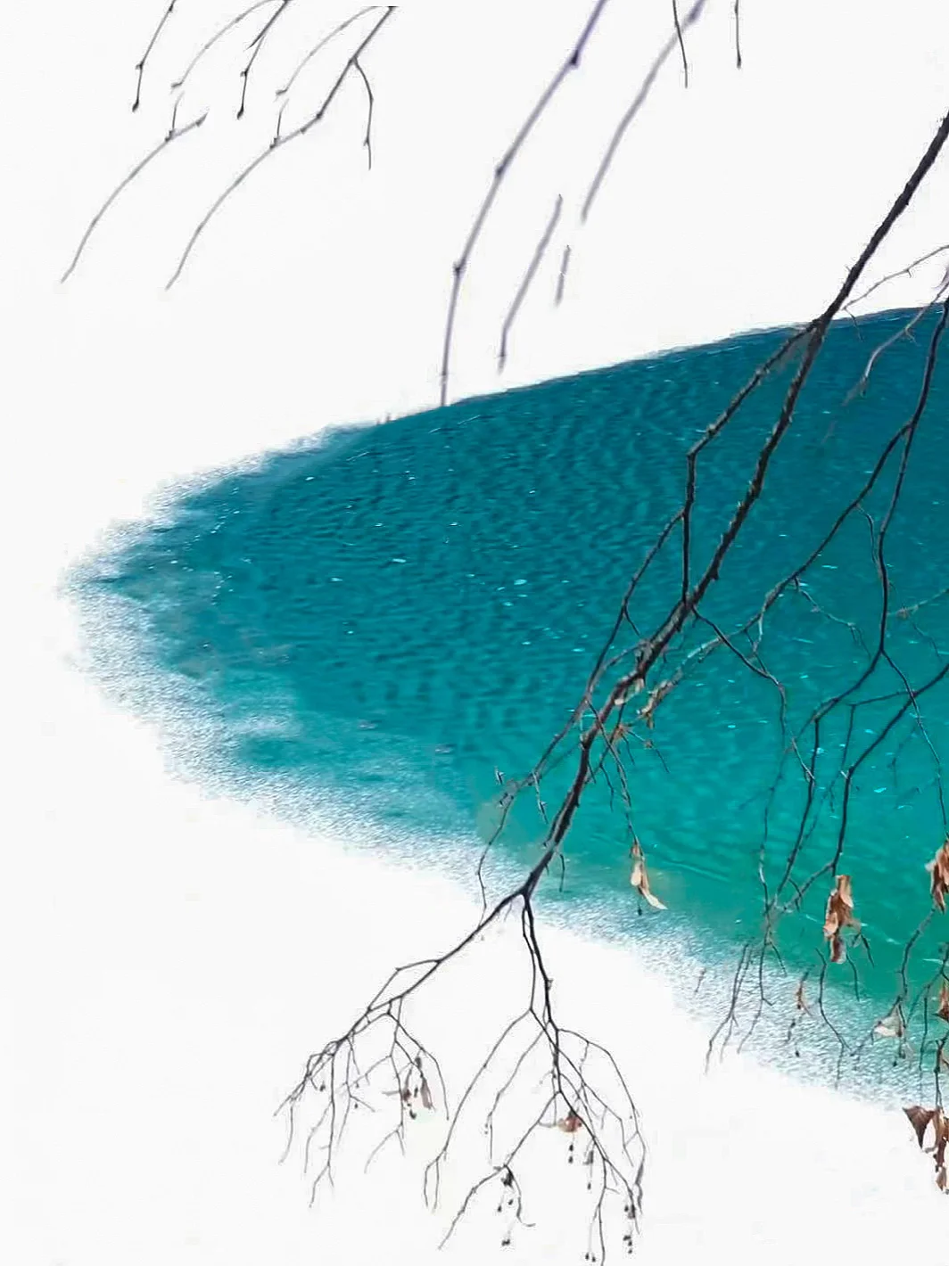 “下了雪的九寨沟，简直美到窒息了～”❄️❄️❄️