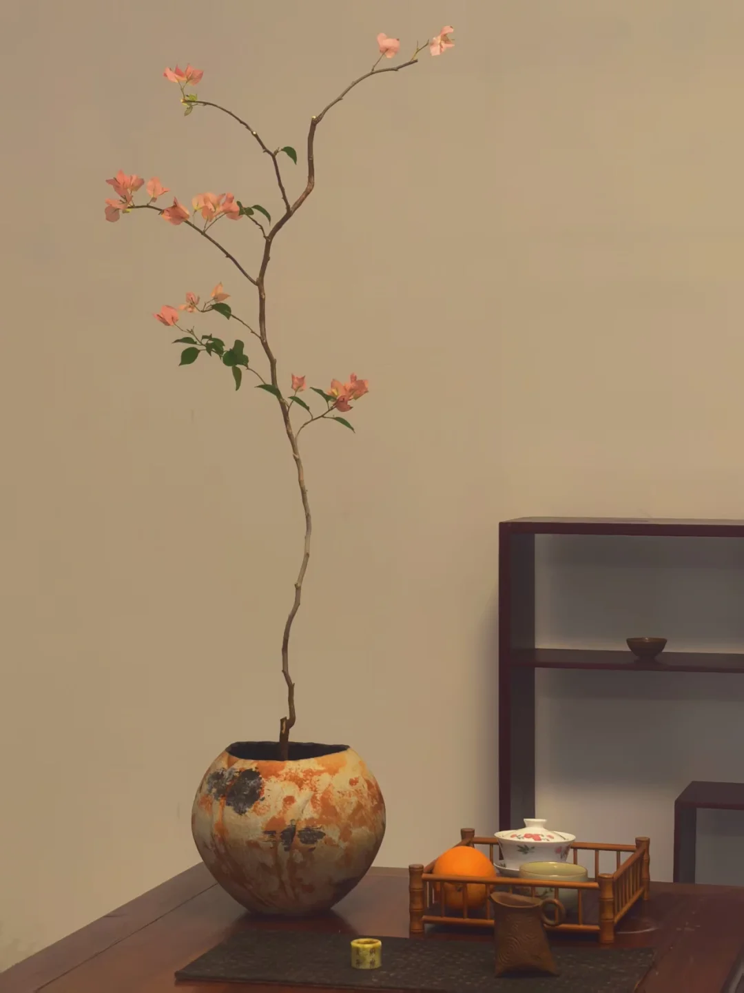“没有一朵花从一开始就是花”