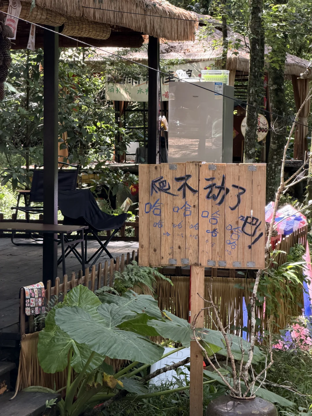 💚终于补上五指山这块版图了（游客路线版）