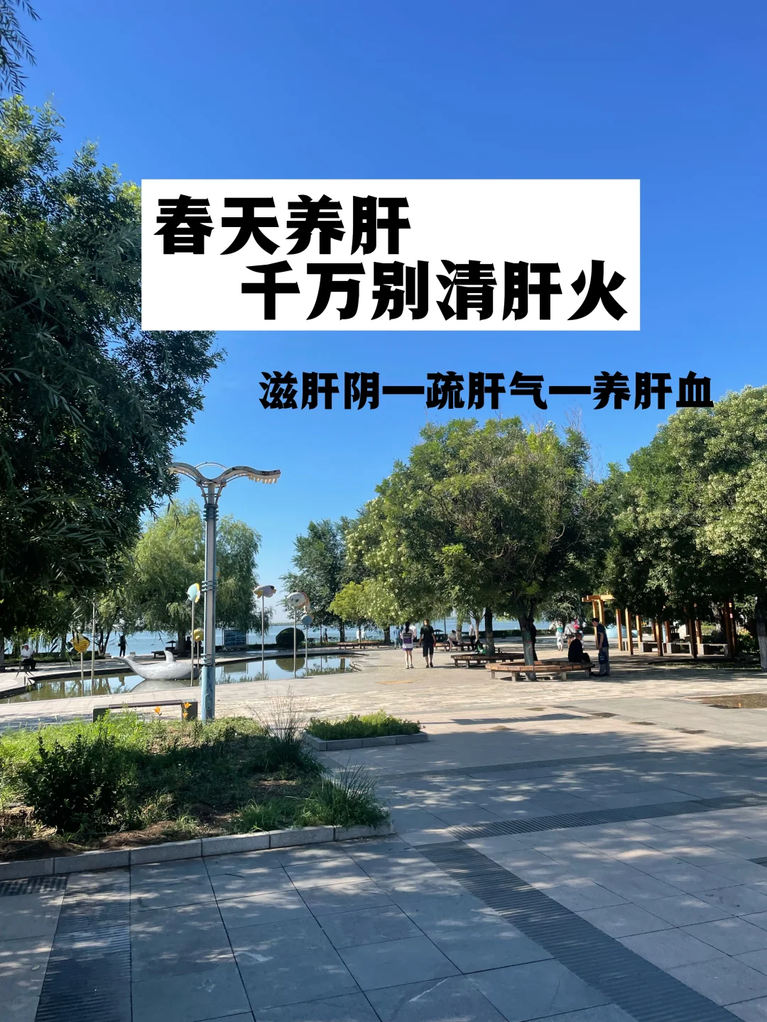 春季养肝千万别清肝火，顺序很重要.