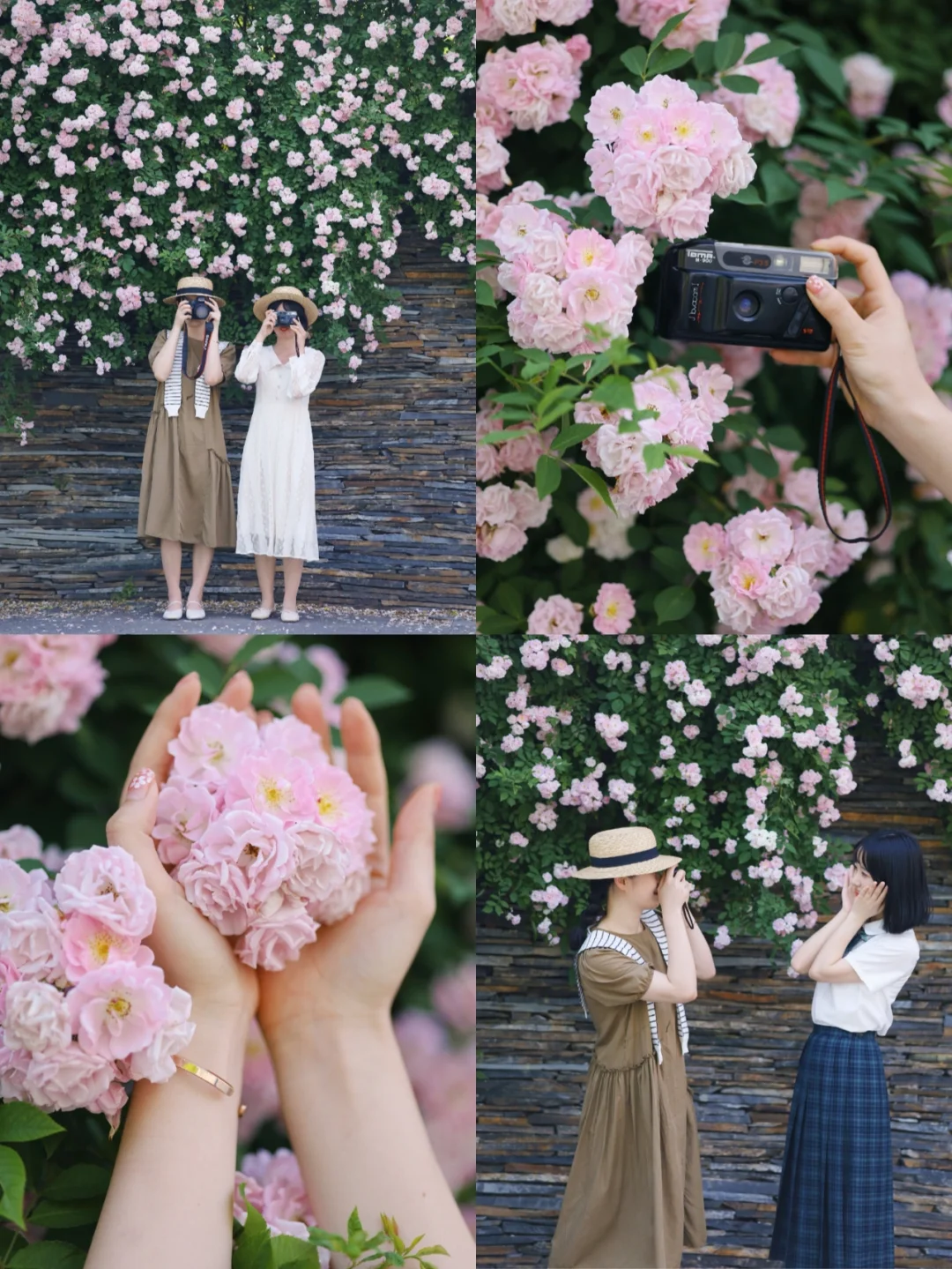 我宣布这是武汉蔷薇天花板，人少好出片❗️