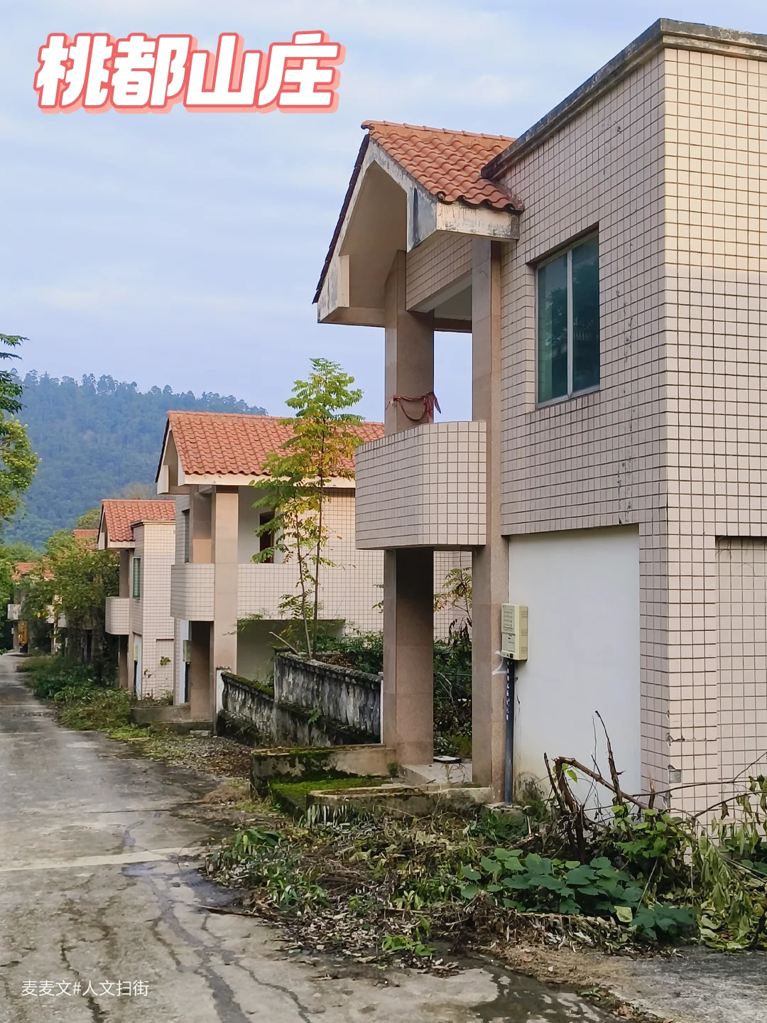 【巴南】被遗忘的90年代豪华别墅群成鬼宅