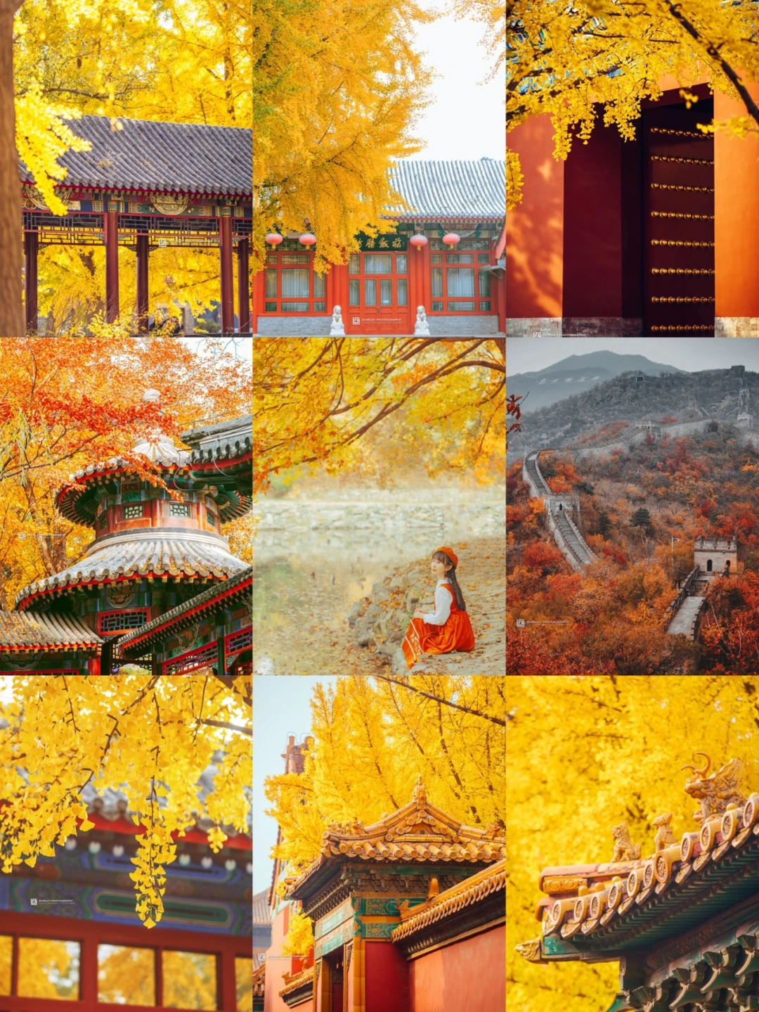 北京8个古风赏秋地｜古建筑✖️秋天才是YYDS！