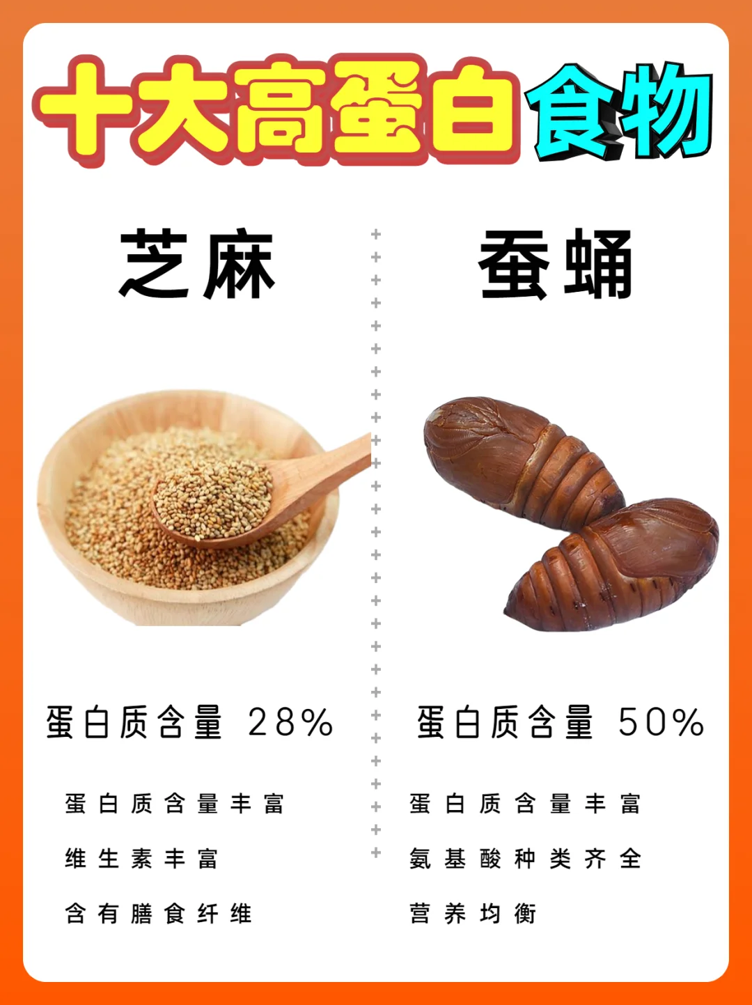 蛋白质科普｜十大高蛋白食物